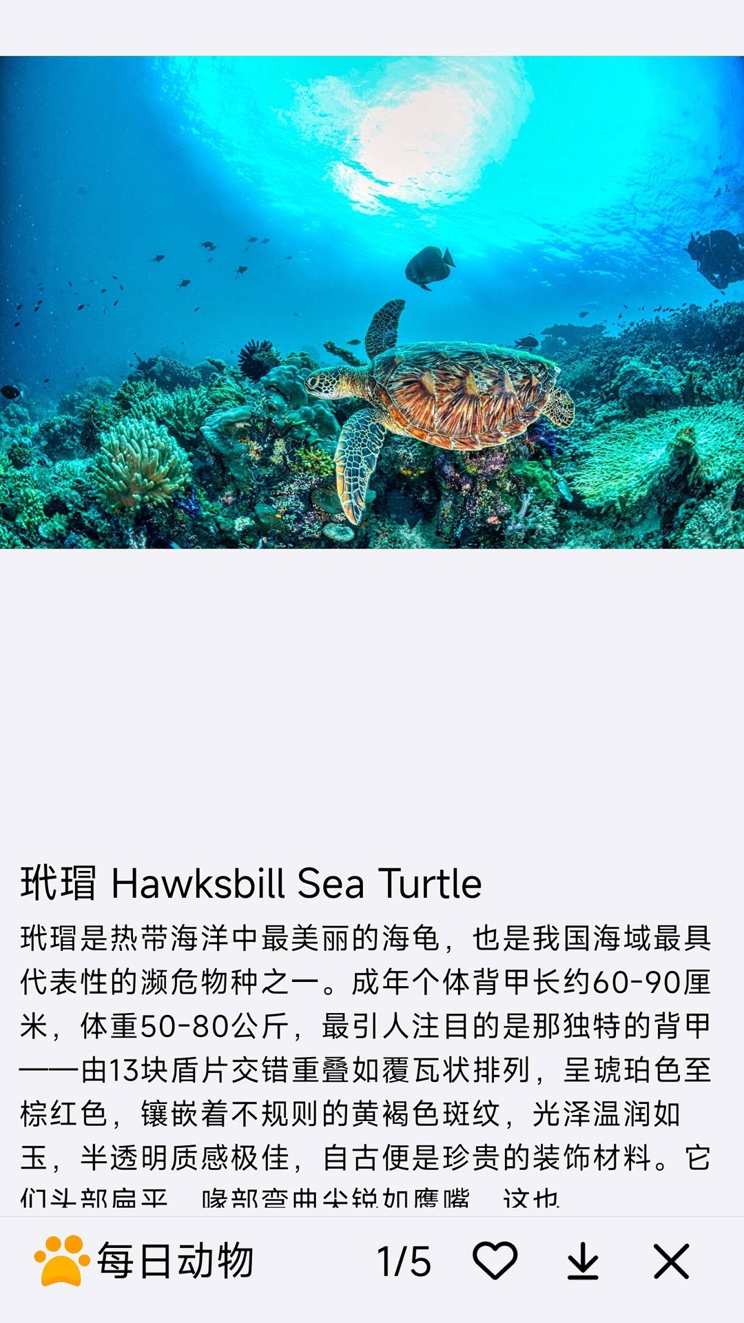 精彩截图-每日动物2026官方新版