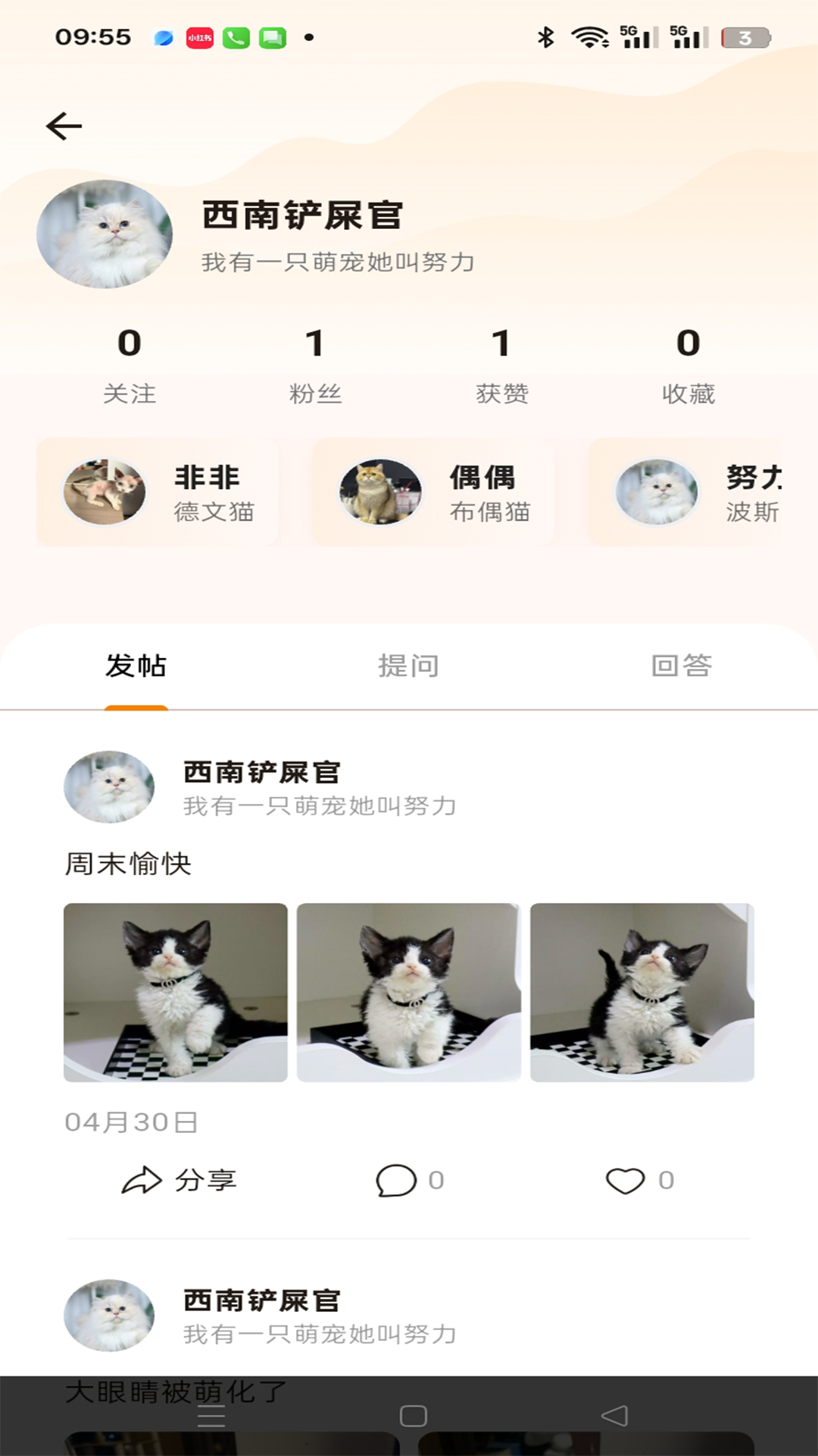 精彩截图-宠物纪念二维码2026官方新版