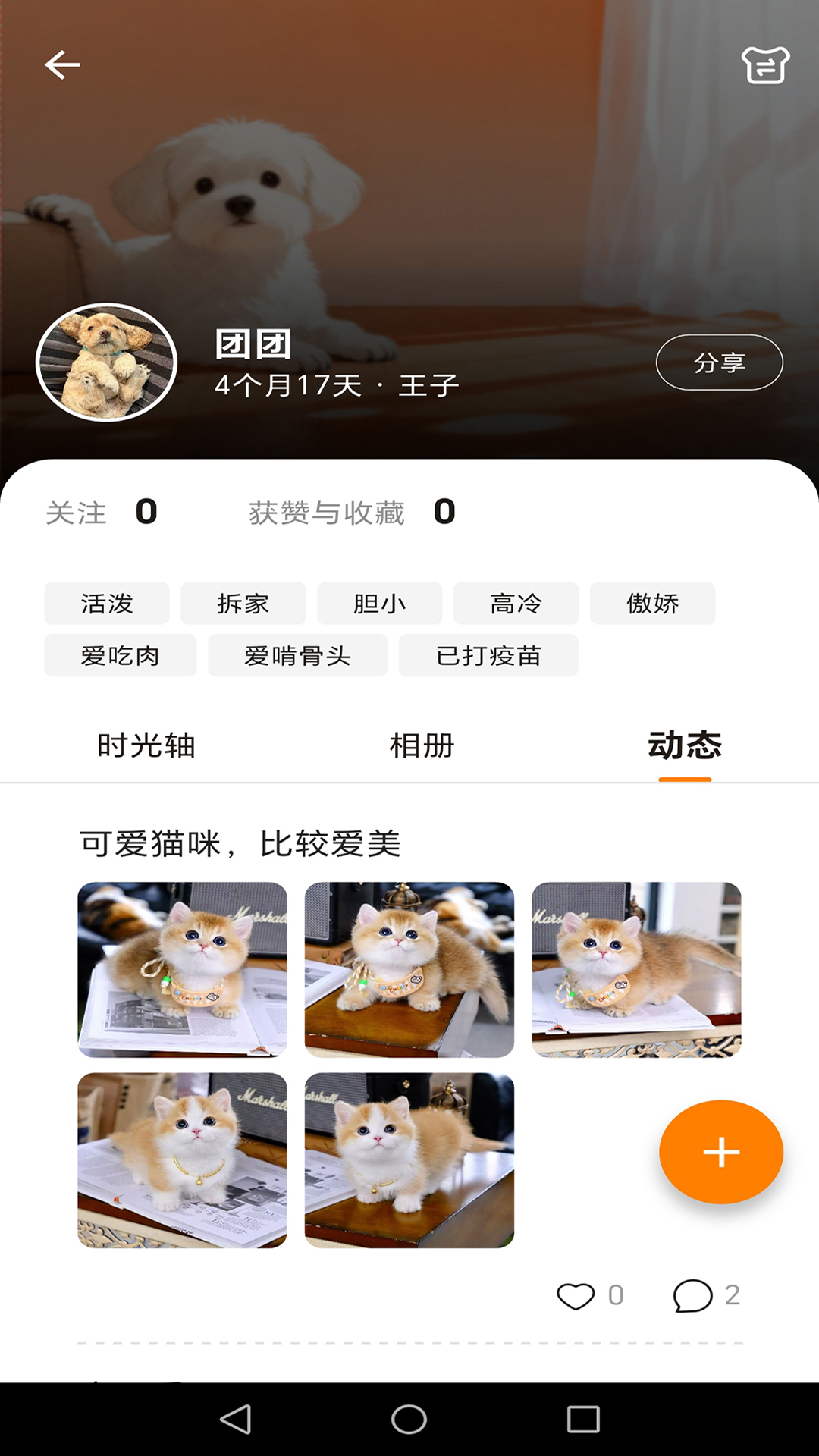 TaTaPaws 截图 3