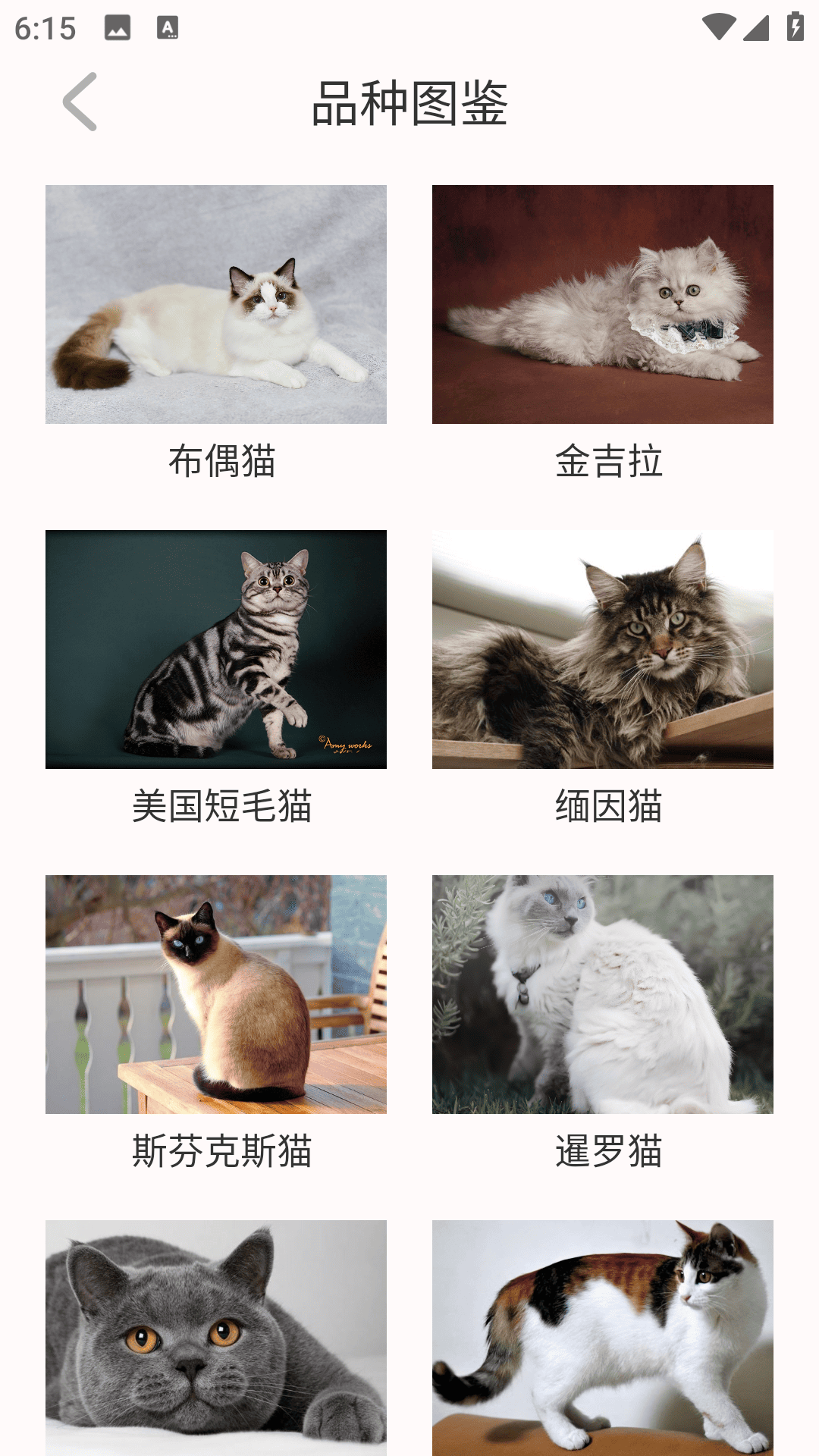 精彩截图-猫眼精灵2026官方新版