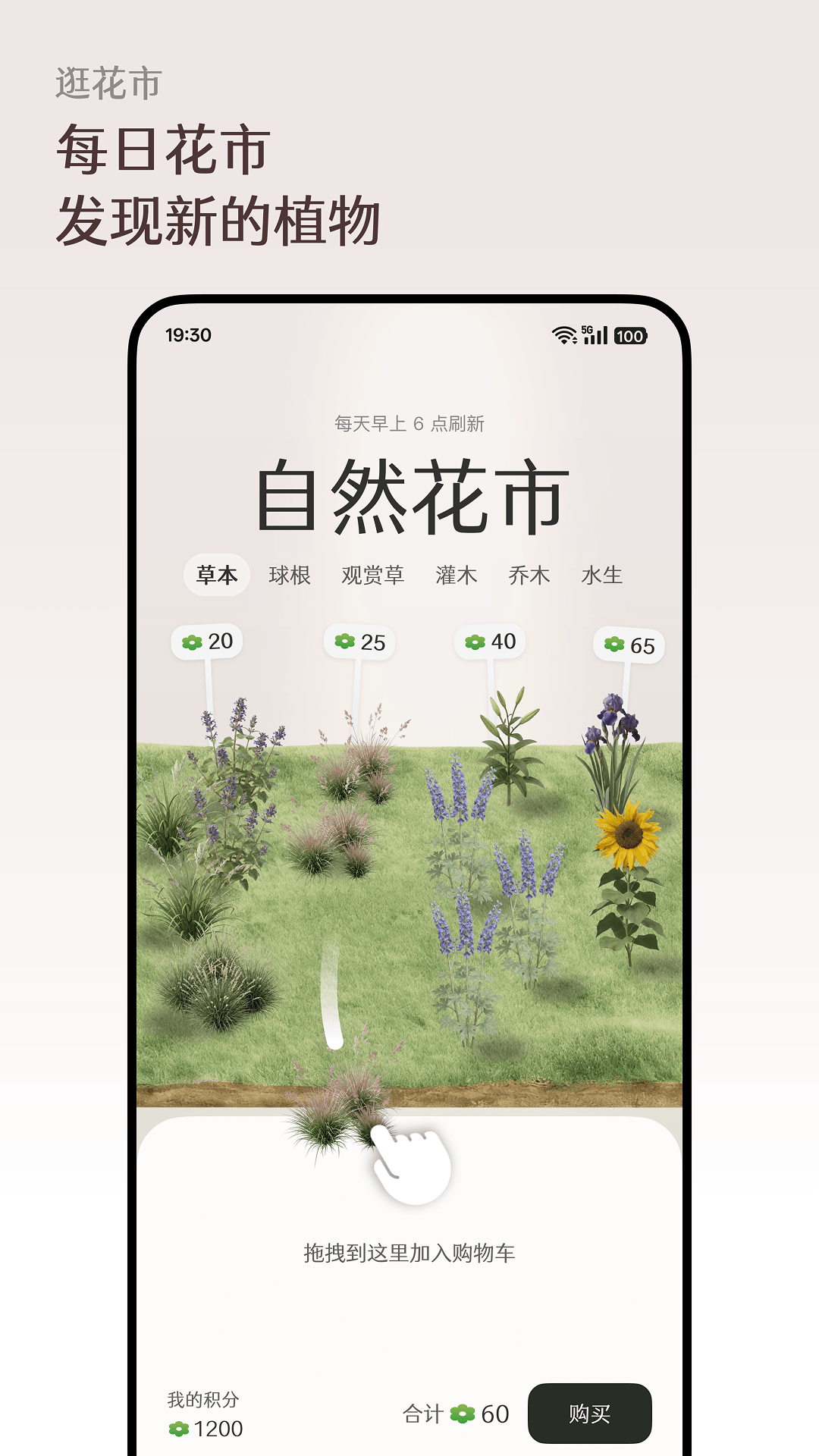 精彩截图-芳圃Floravale2026官方新版