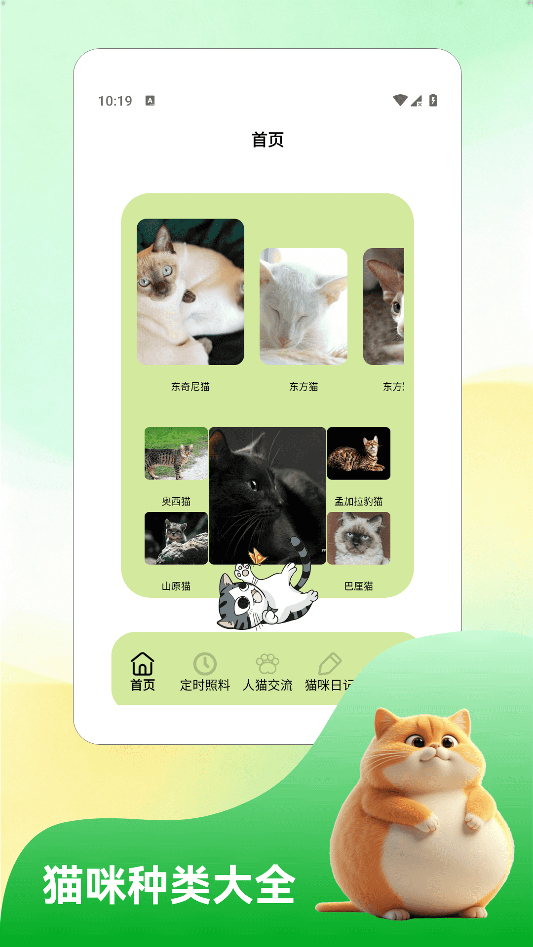精彩截图-猫猫日记2026官方新版