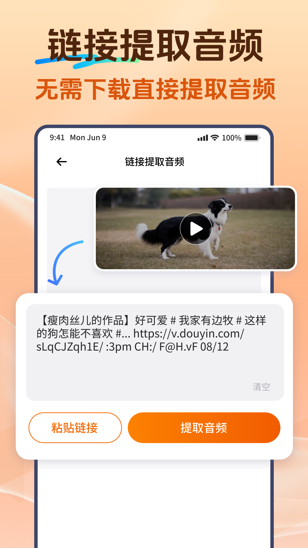 精彩截图-Viwoo音频格式转换器2026官方新版