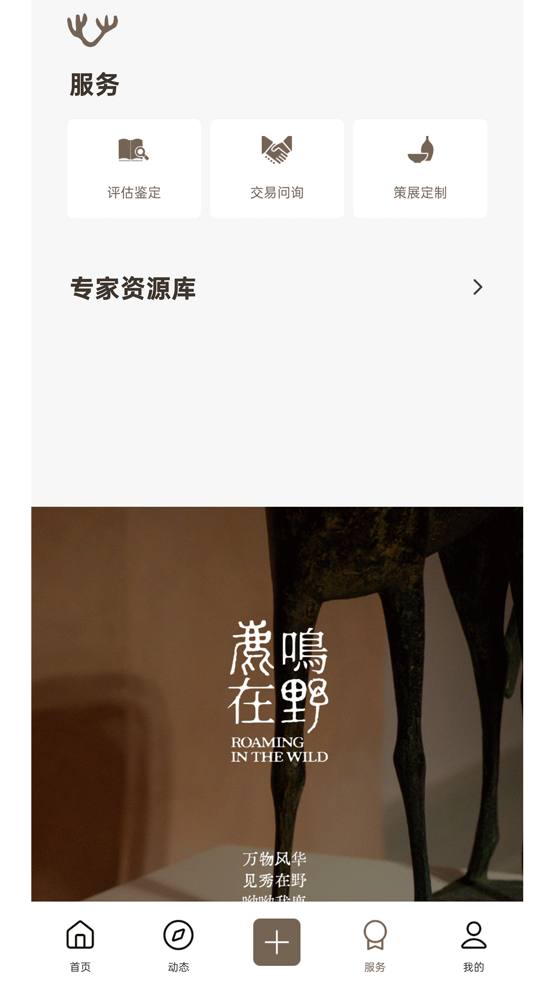 精彩截图-鹿鸣在野2026官方新版