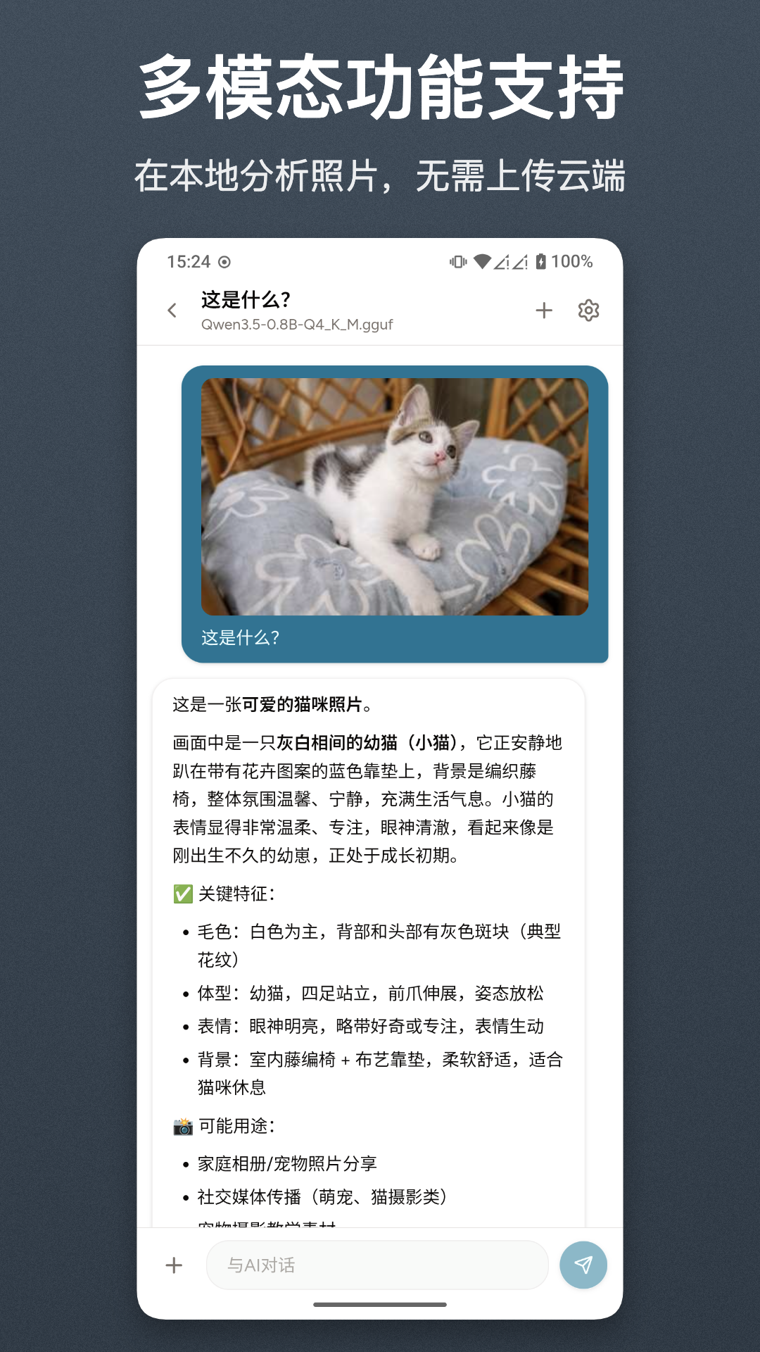 精彩截图-清鸽LocalAI2026官方新版