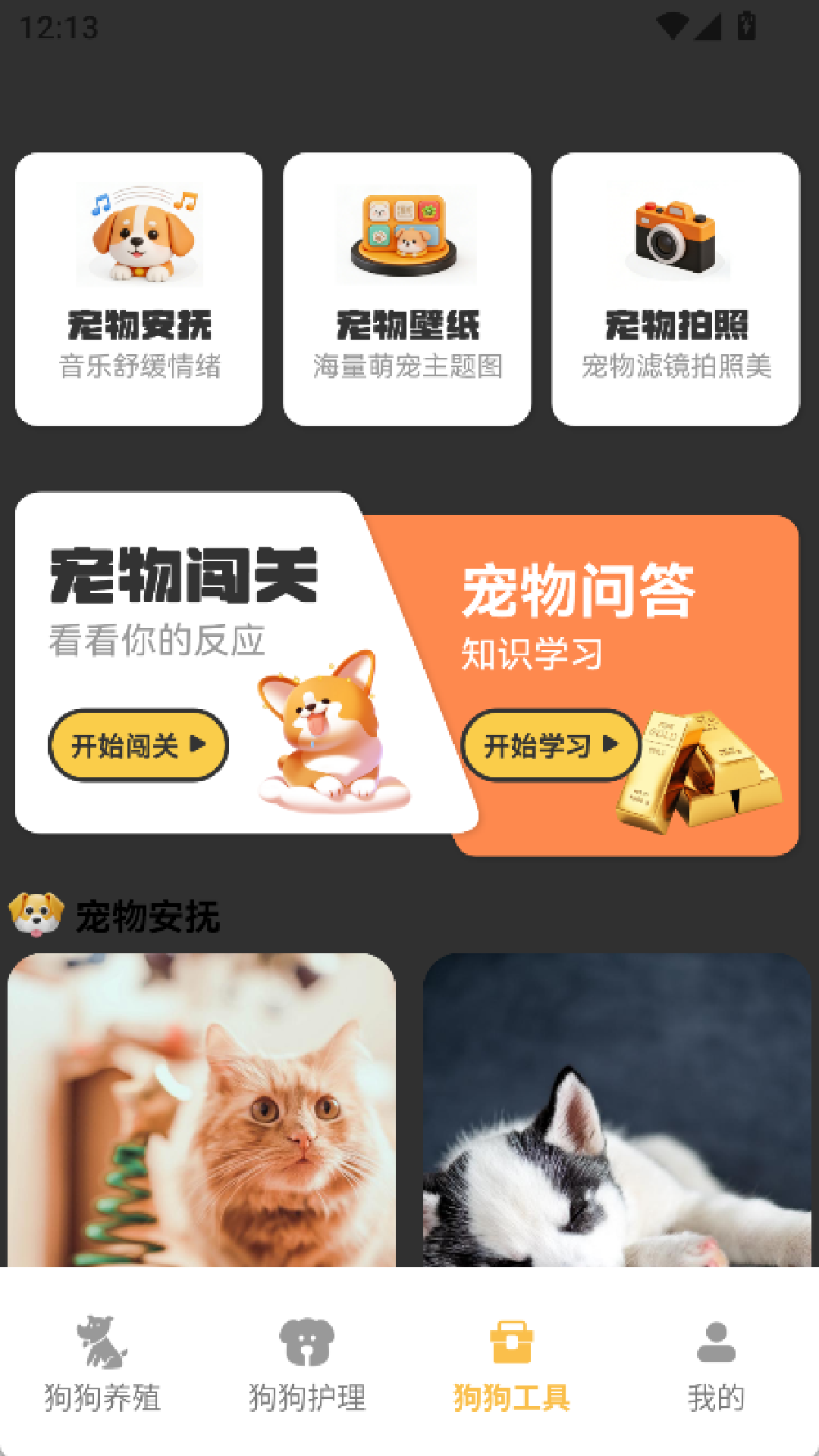 精彩截图-旺财小狗2026官方新版