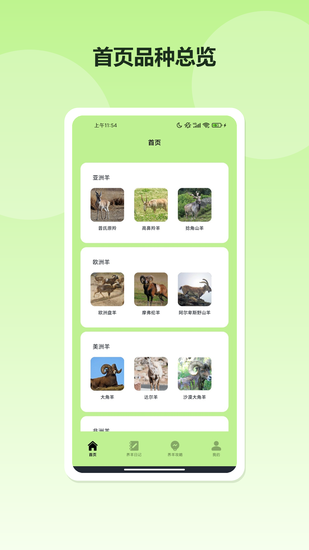 精彩截图-鸿运洋羊2026官方新版