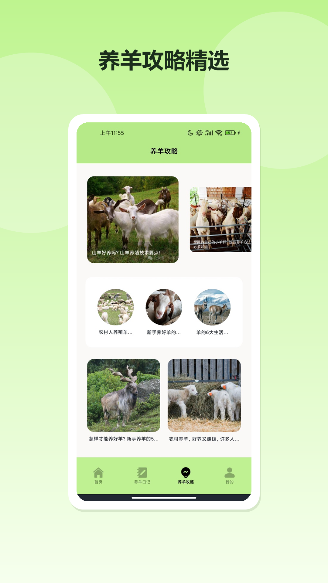 精彩截图-鸿运洋羊2026官方新版