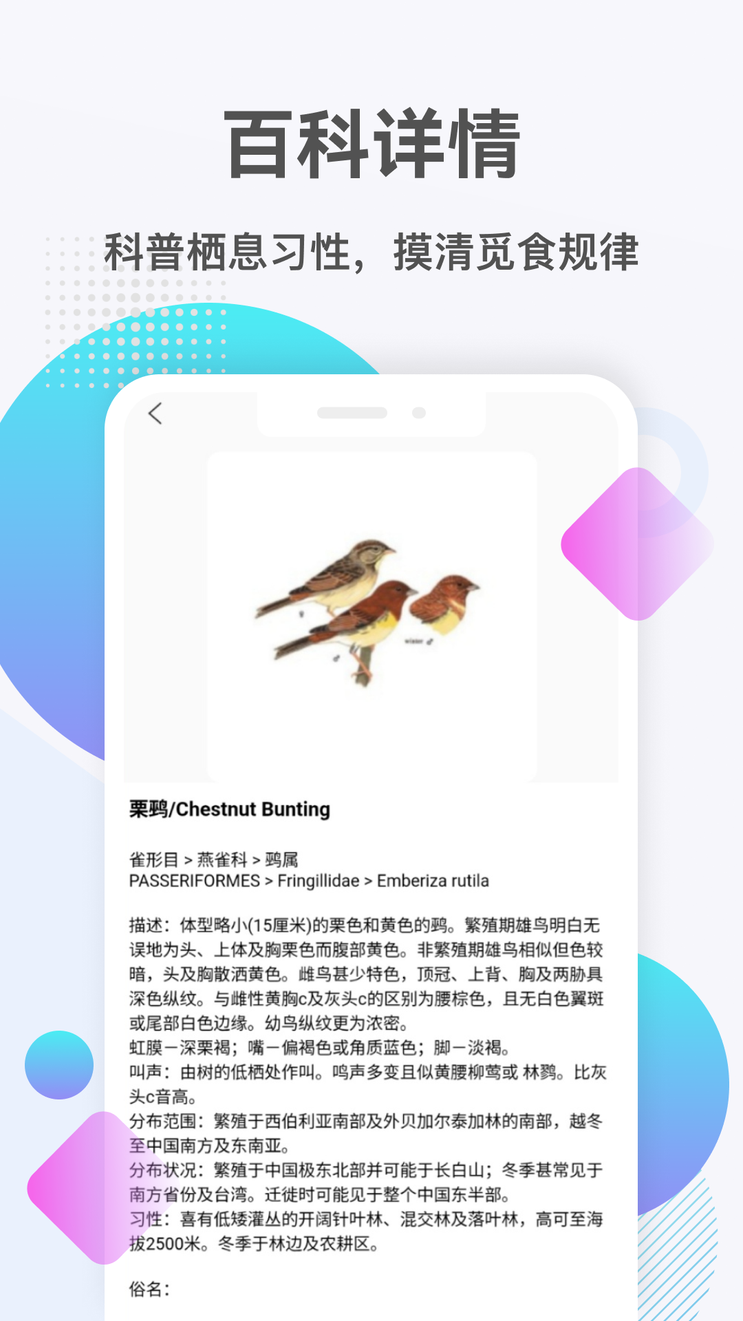 精彩截图-金雀2026官方新版