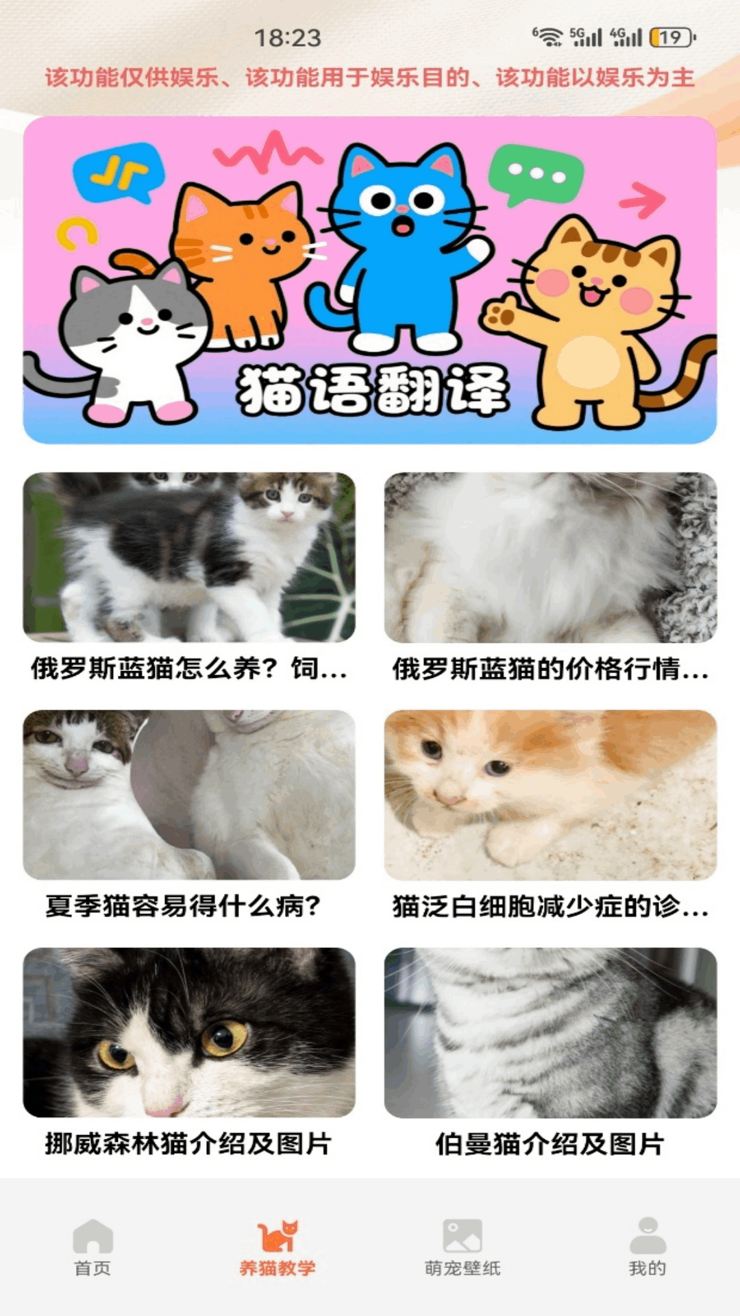 精彩截图-暖暖猫咪2026官方新版