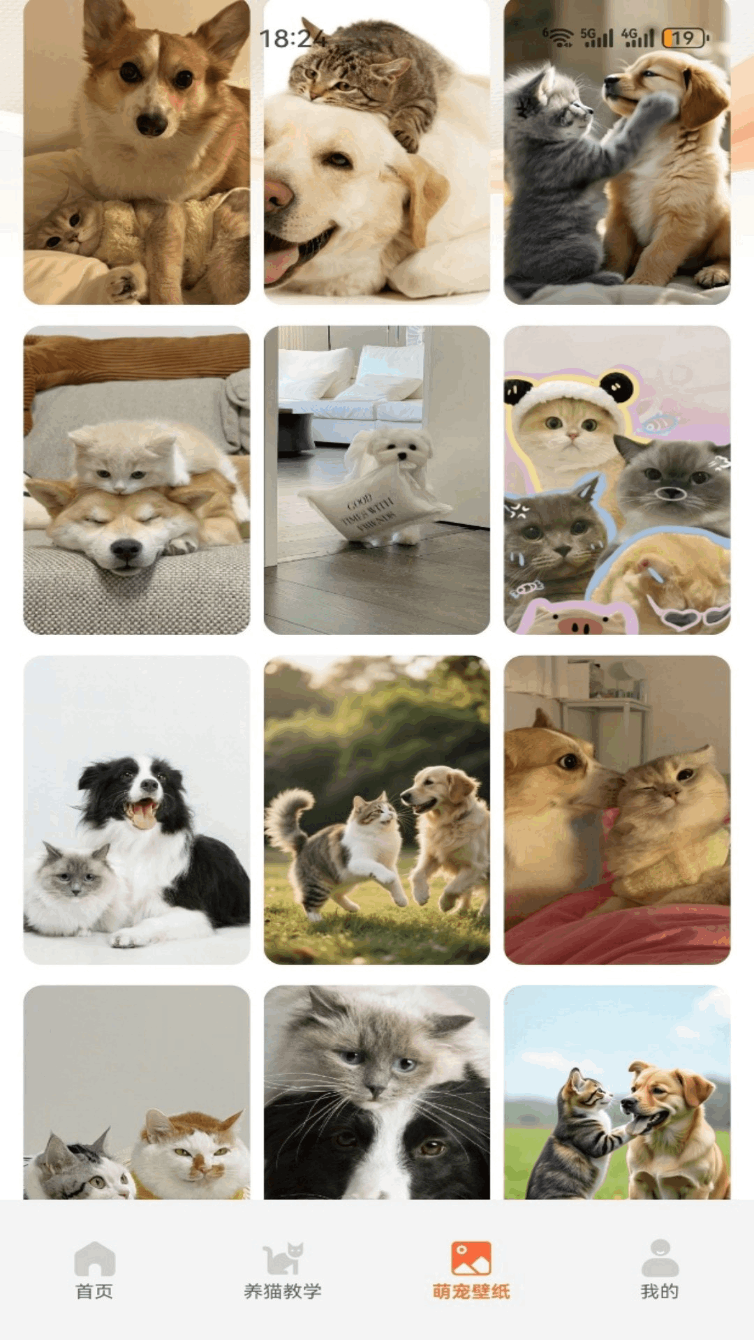 精彩截图-暖暖猫咪2026官方新版