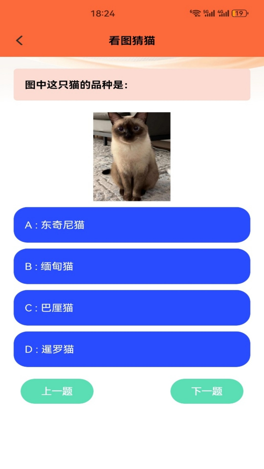 精彩截图-暖暖猫咪2026官方新版