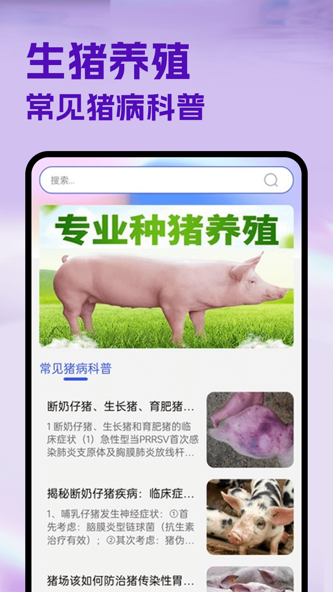 精彩截图-猪猪好运来2026官方新版