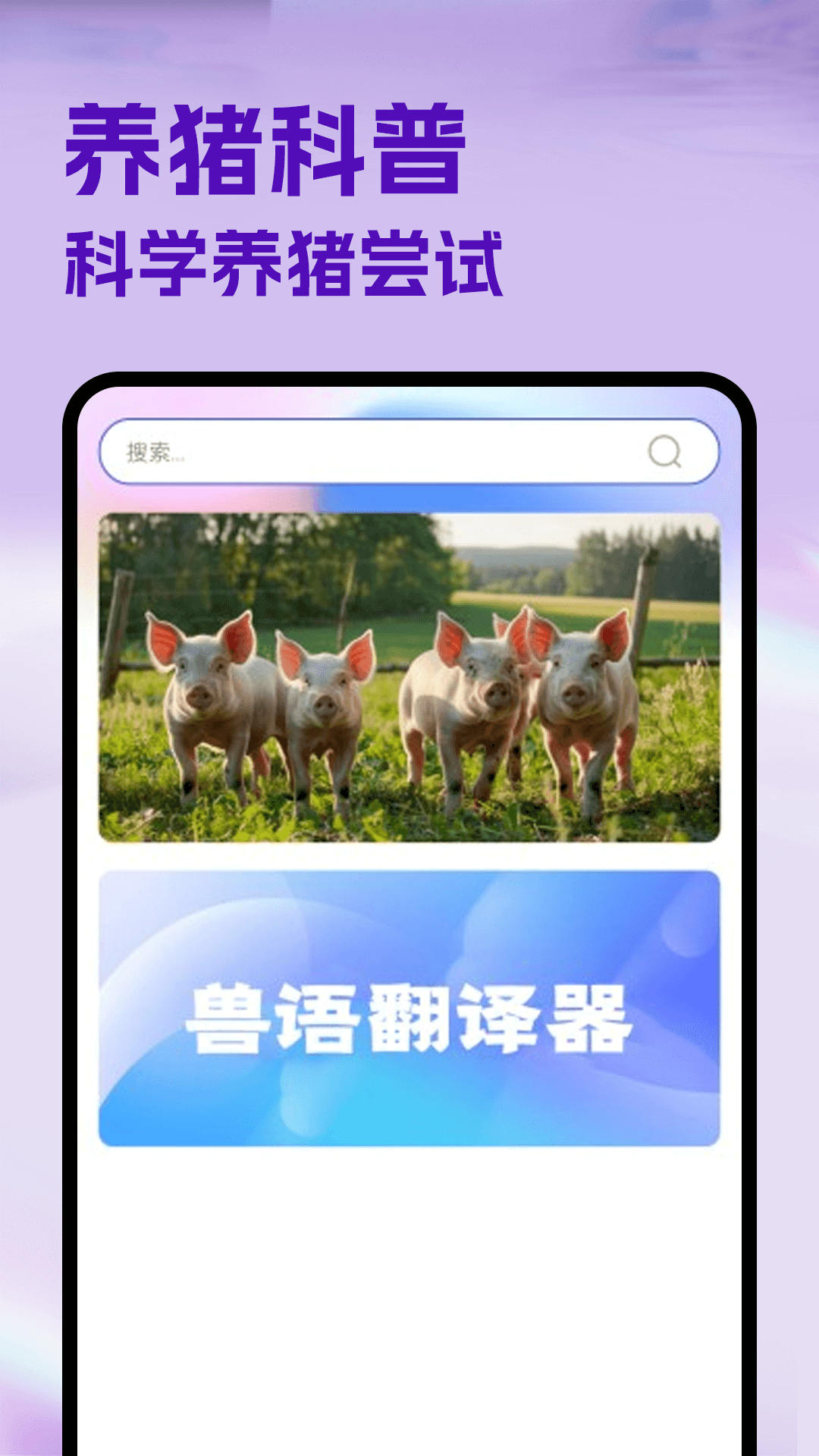精彩截图-猪猪好运来2026官方新版