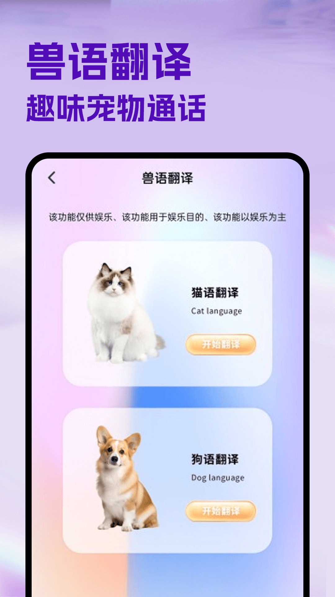 精彩截图-猪猪好运来2026官方新版