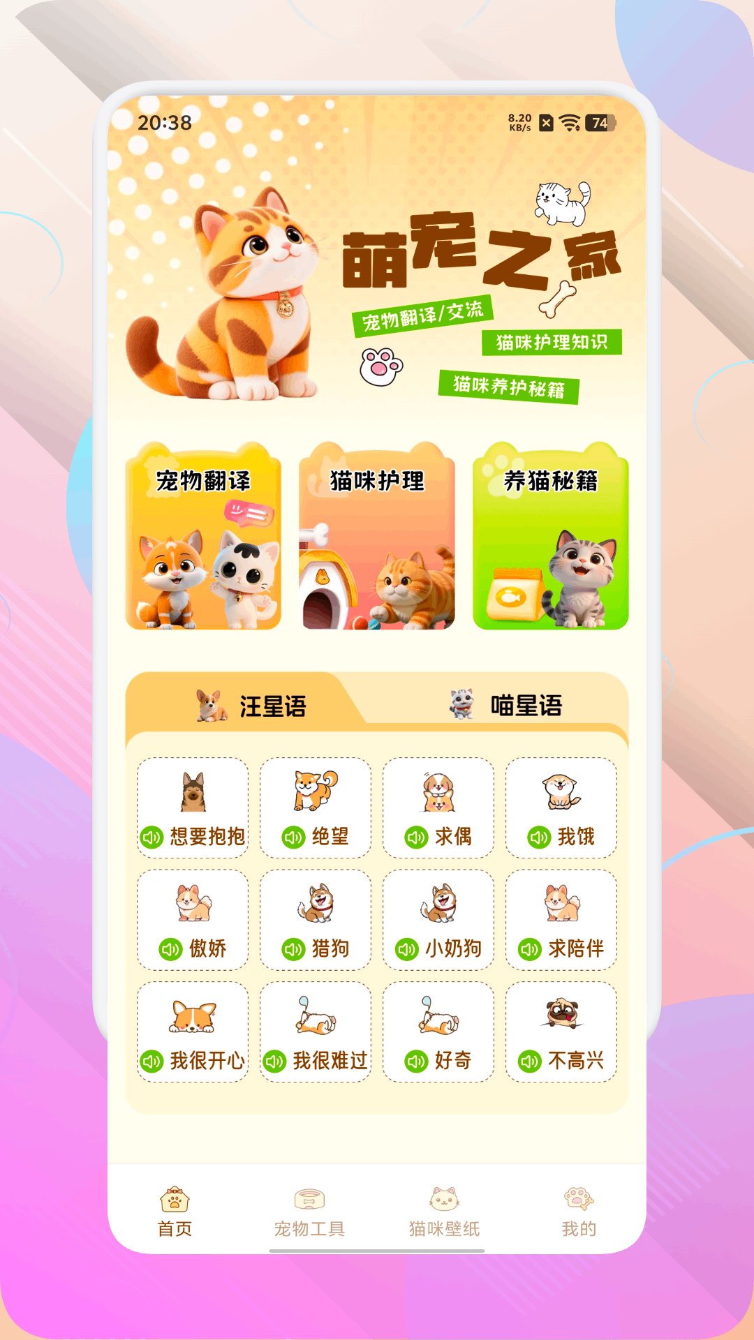 精彩截图-暖暖猫咪2026官方新版