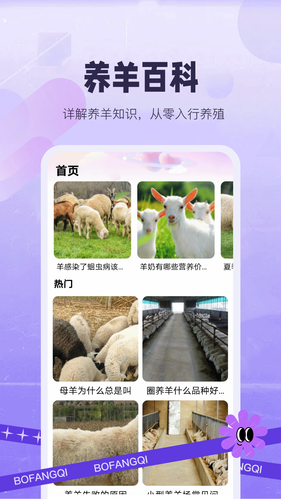 精彩截图-别让羊跑了2026官方新版