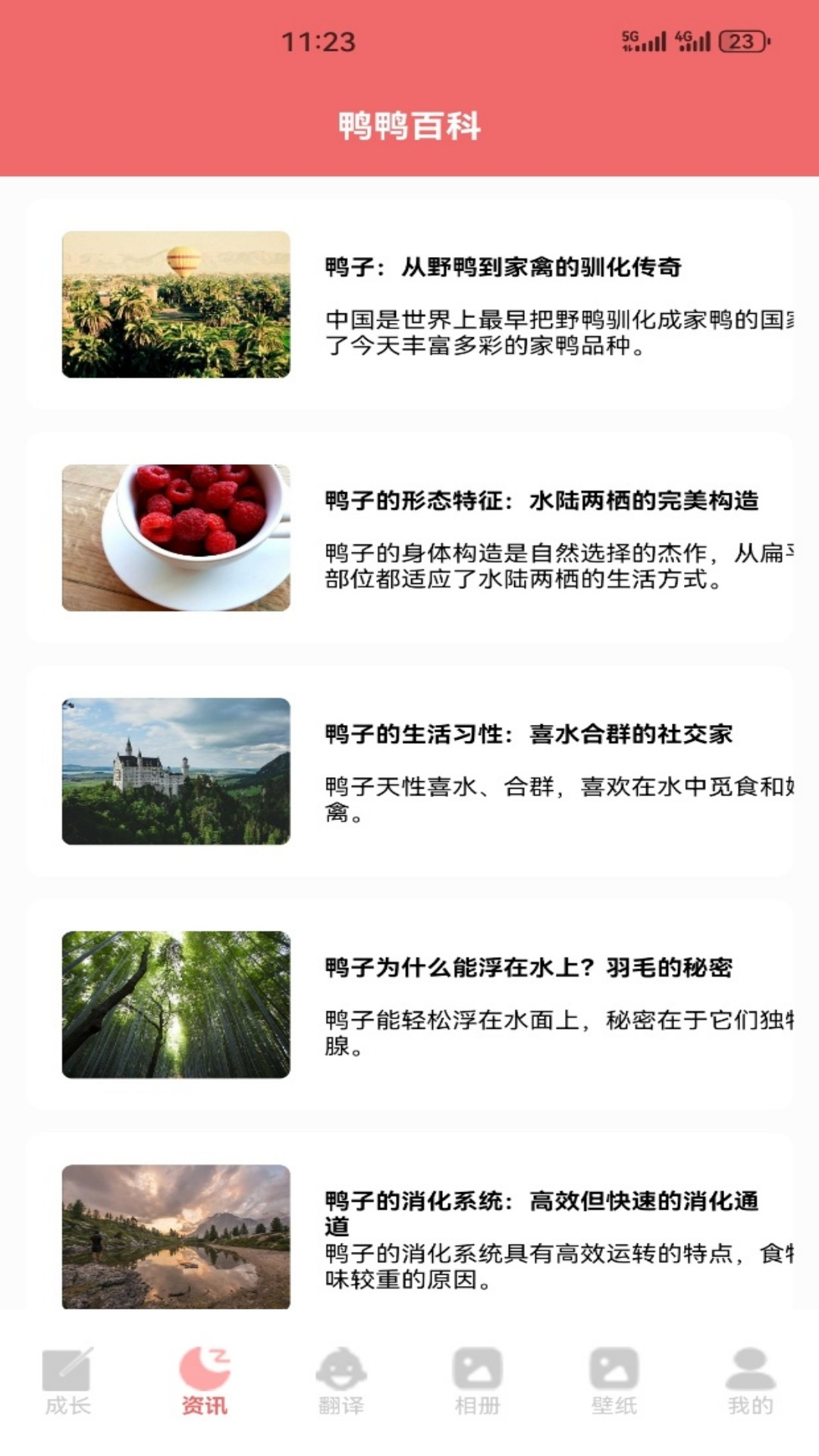 精彩截图-鸭鸭来财2026官方新版