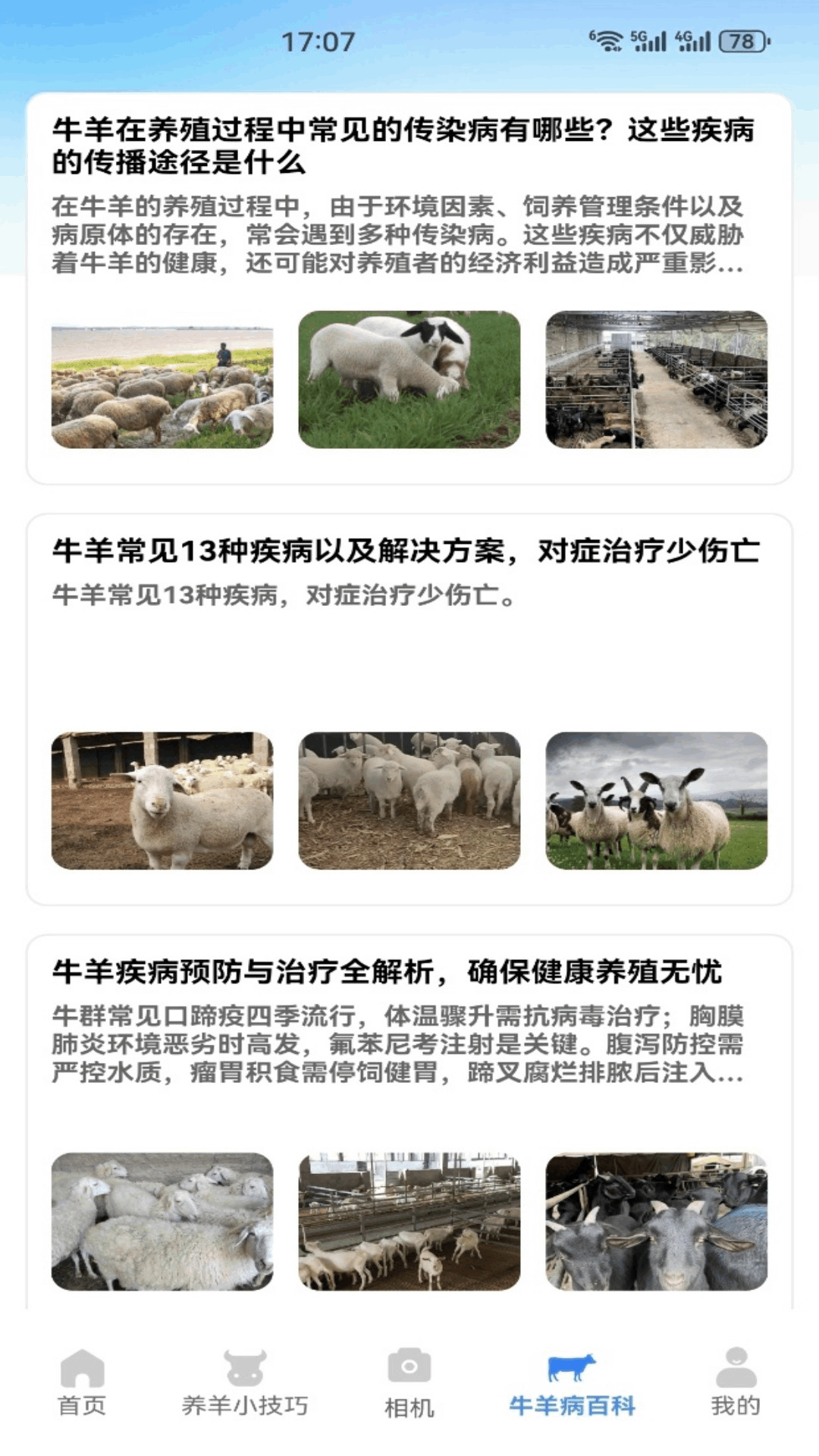 精彩截图-名羊四海2026官方新版