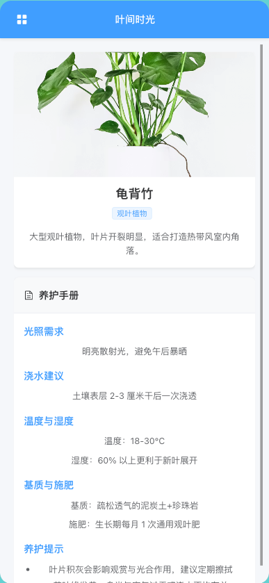 精彩截图-叶间时光2026官方新版
