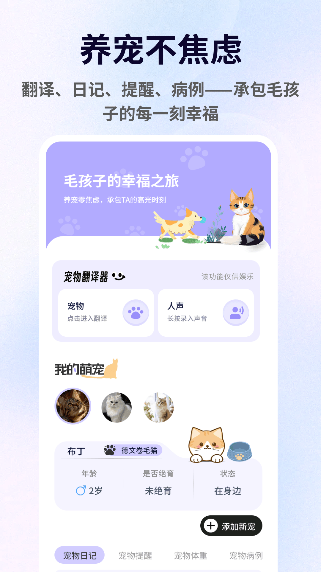 精彩截图-暖暖猫猫2026官方新版