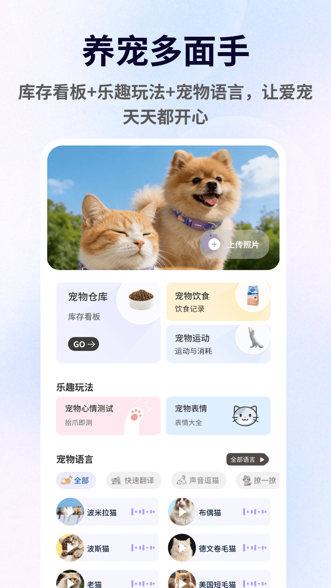 精彩截图-暖暖猫猫2026官方新版