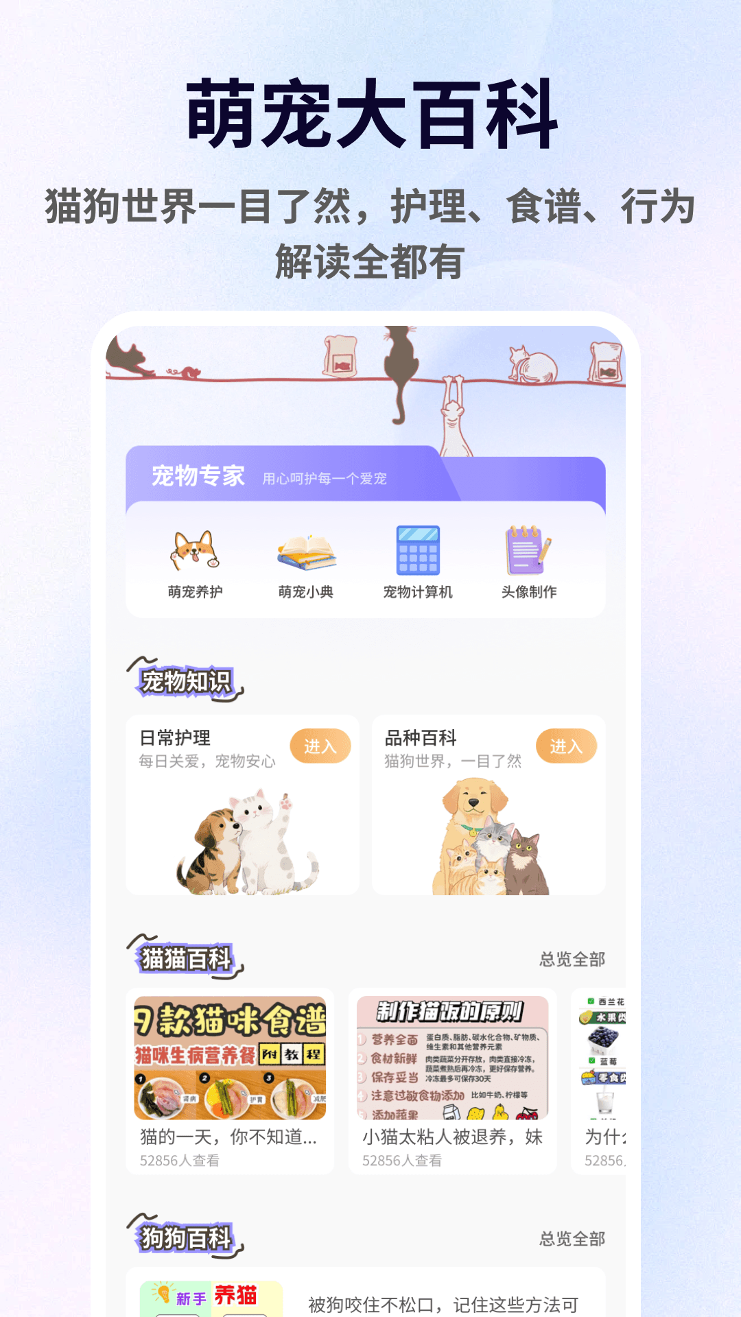 精彩截图-暖暖猫猫2026官方新版