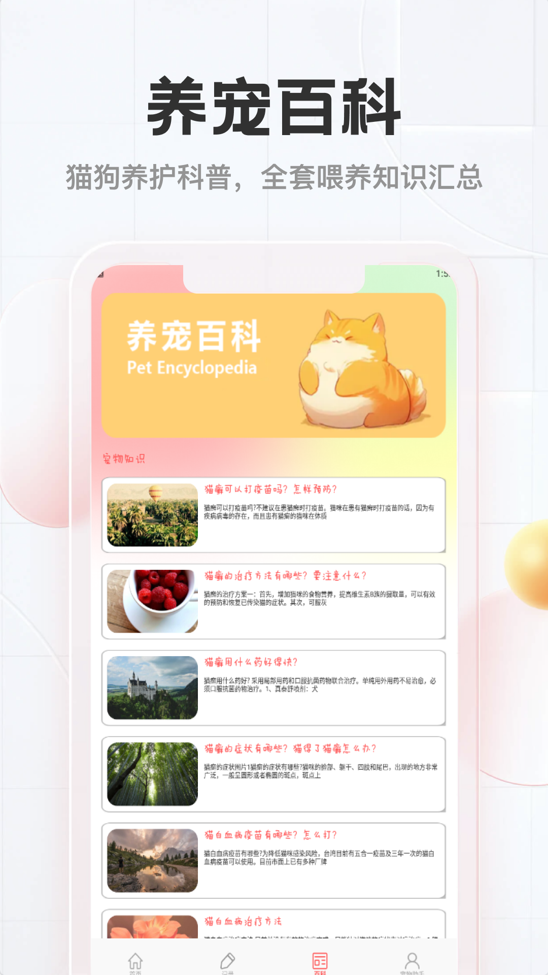 精彩截图-猫舍时光2026官方新版