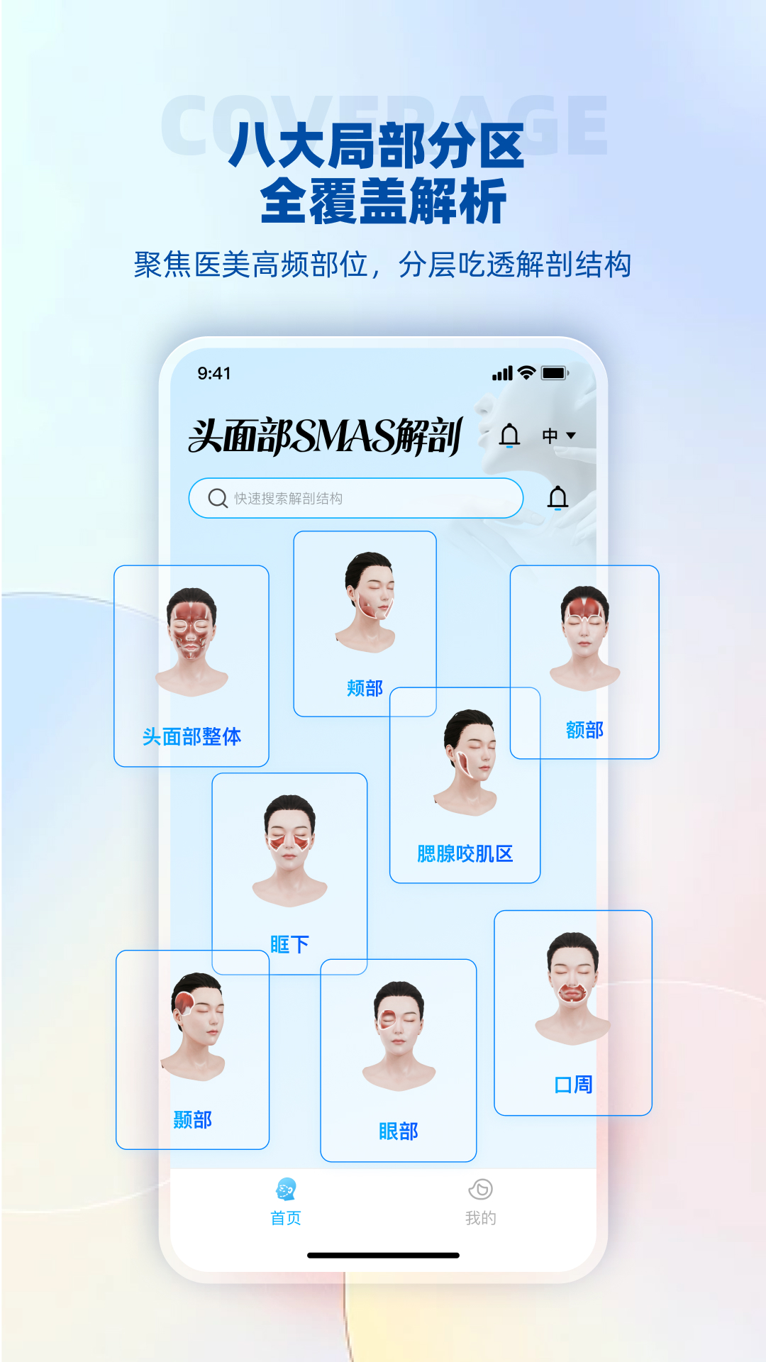 精彩截图-头面部SMAS解剖2026官方新版