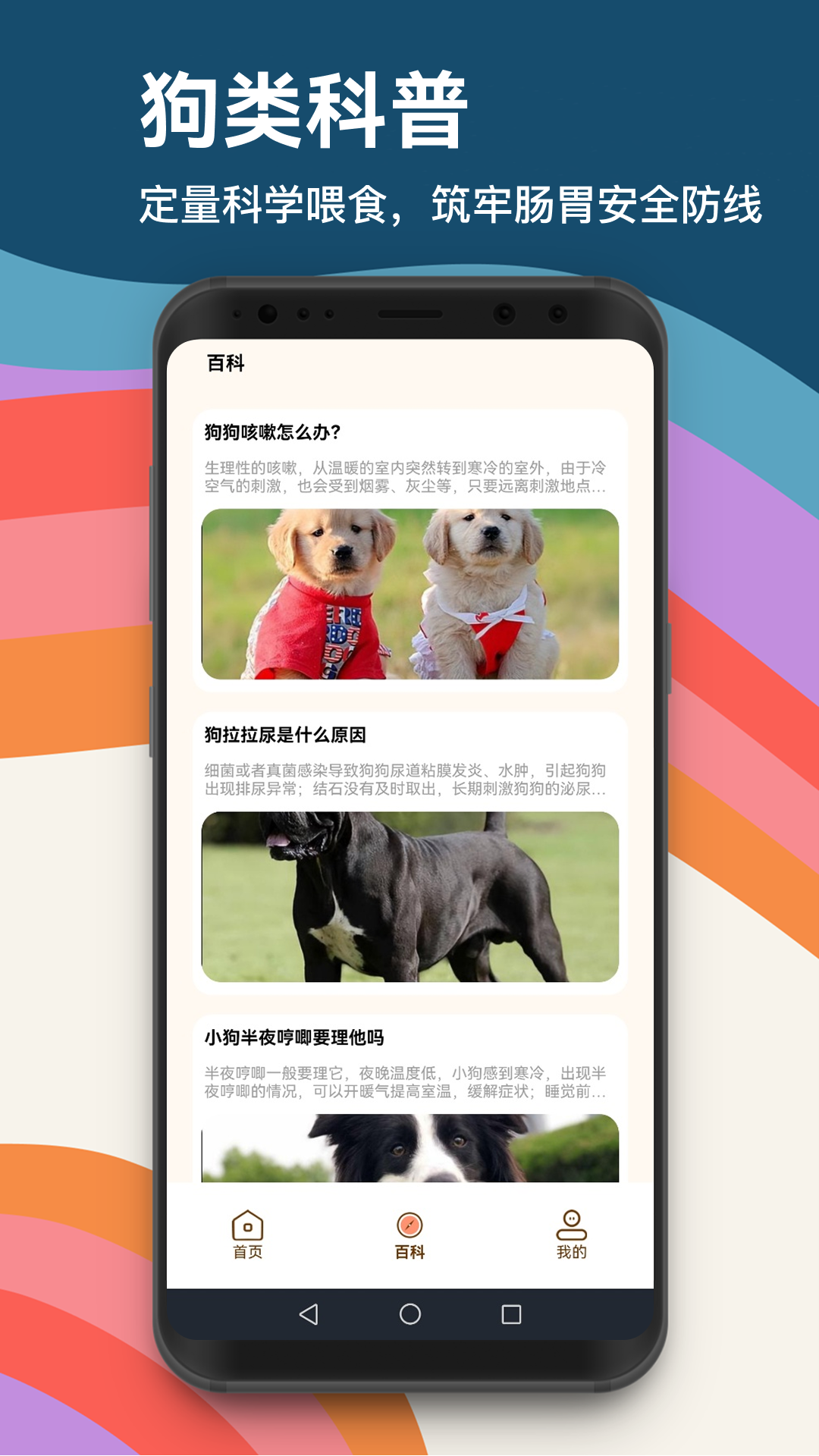 精彩截图-忠犬乐园2026官方新版
