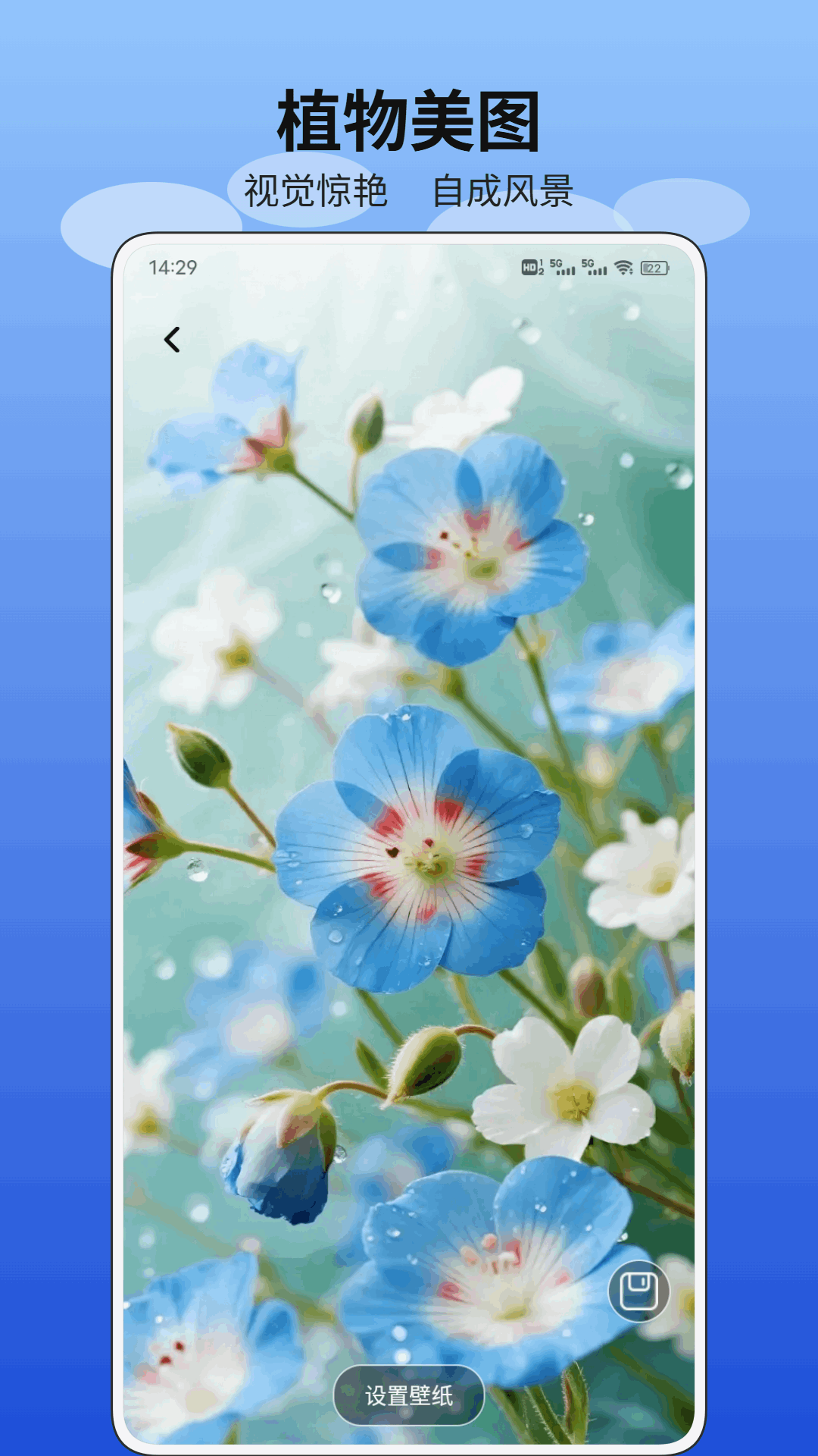 精彩截图-金银花2026官方新版