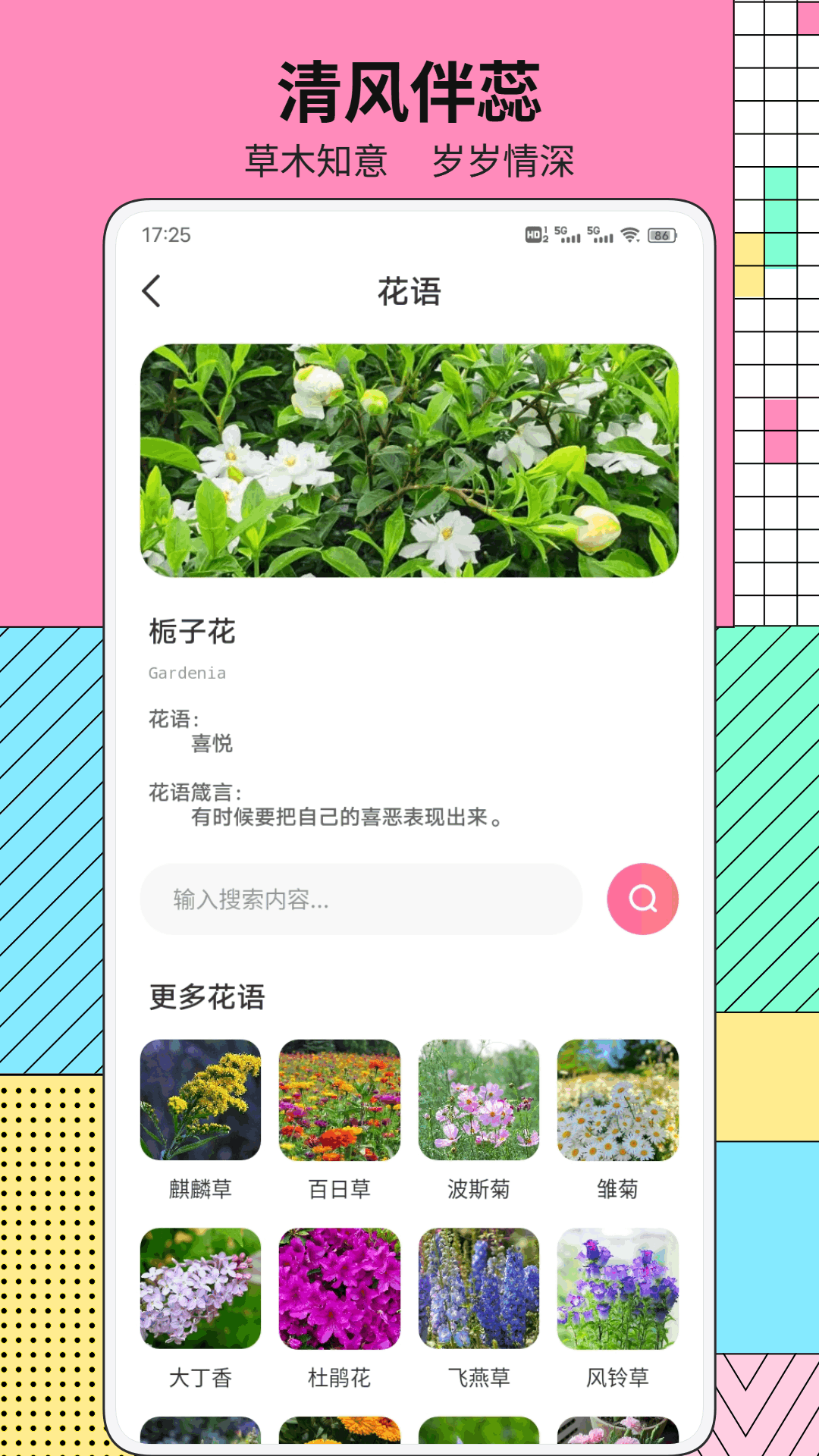 精彩截图-极光鸟2026官方新版
