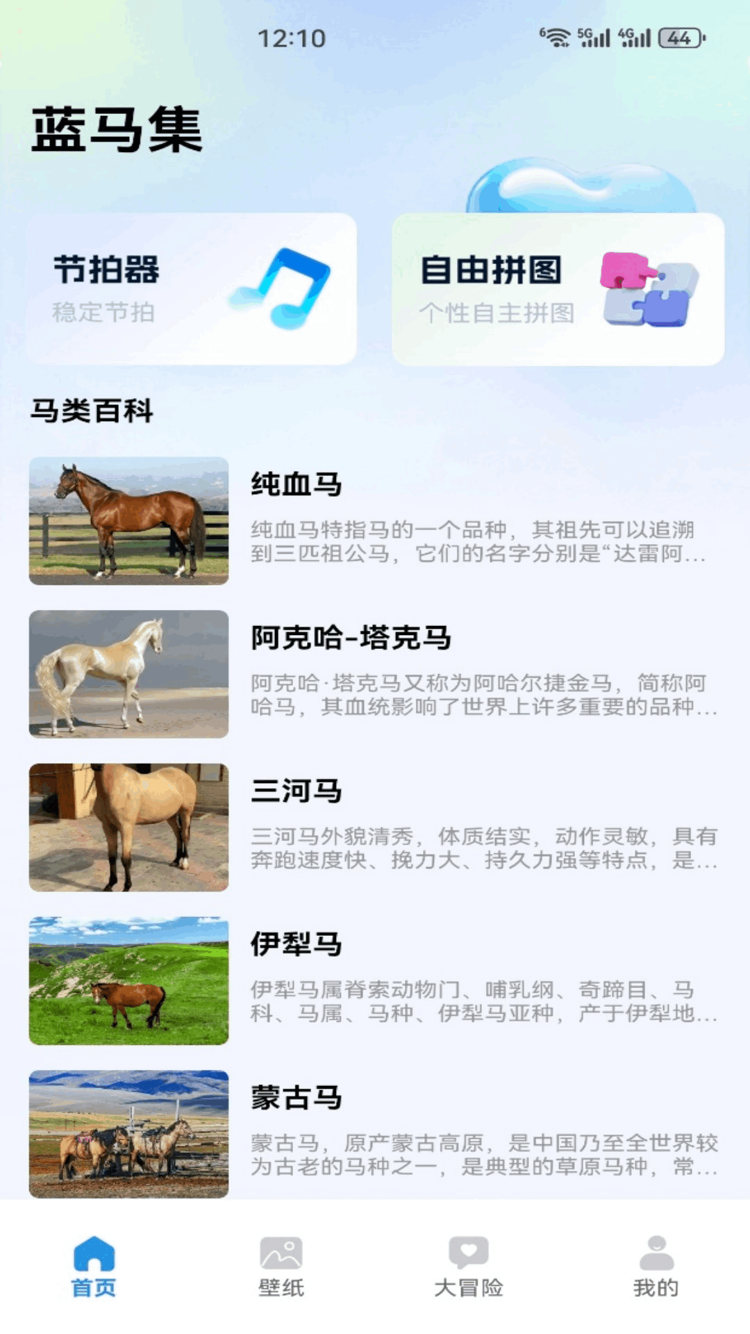 精彩截图-蓝马集2026官方新版