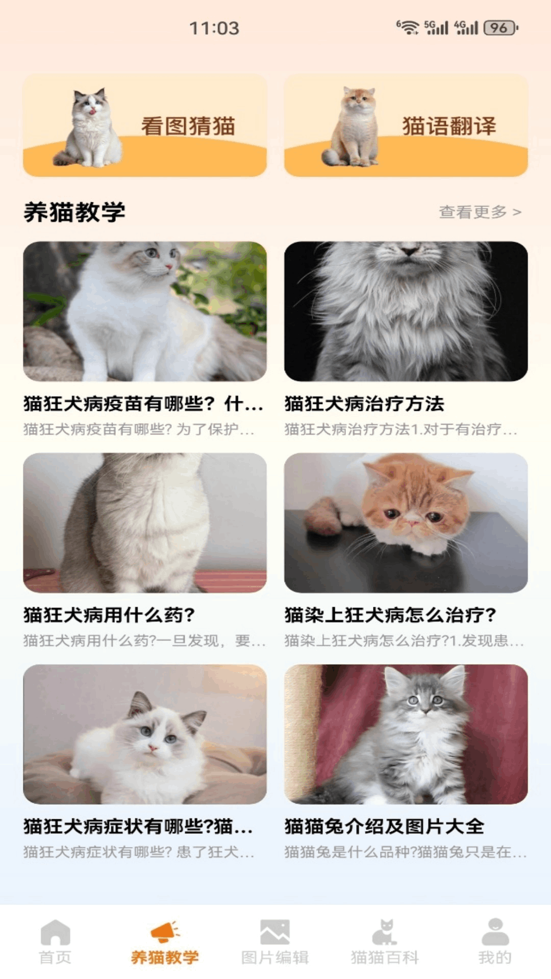 精彩截图-小猫的生活2026官方新版