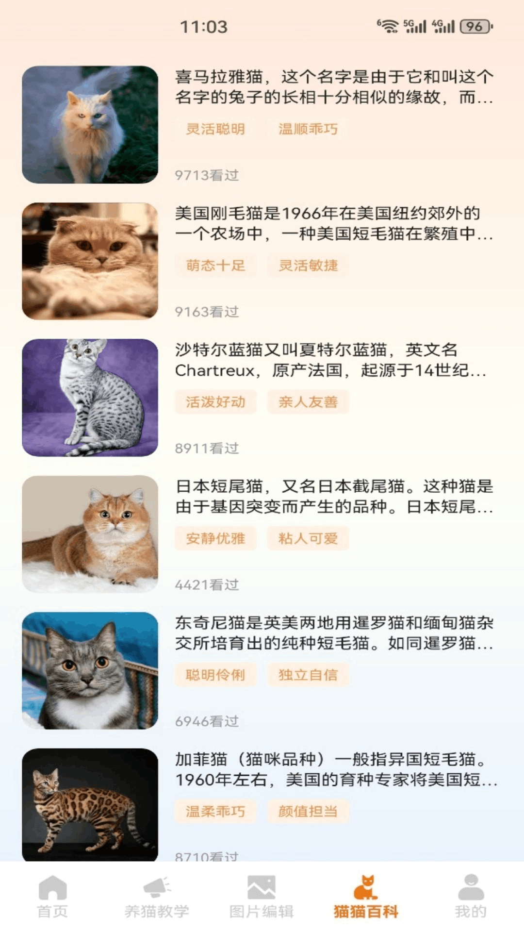 精彩截图-小猫的生活2026官方新版