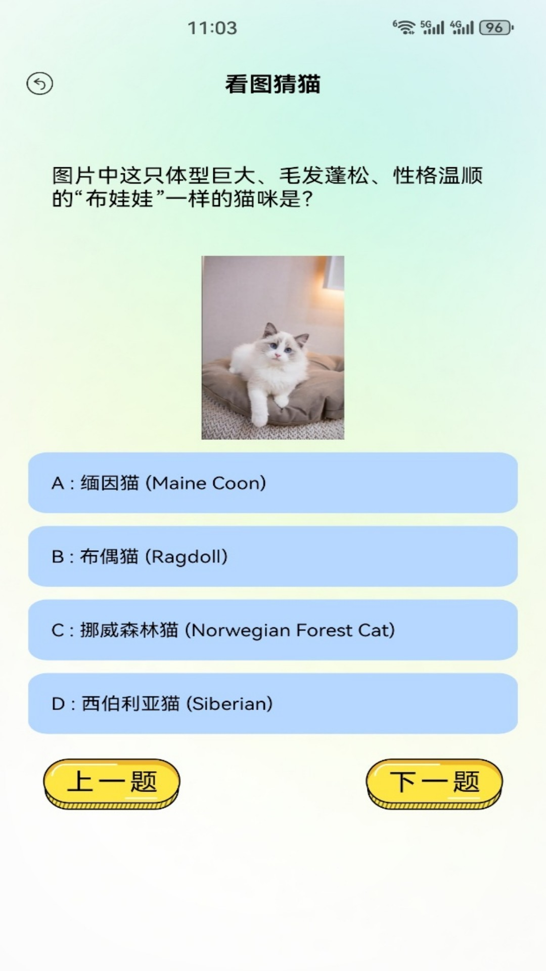 精彩截图-小猫的生活2026官方新版