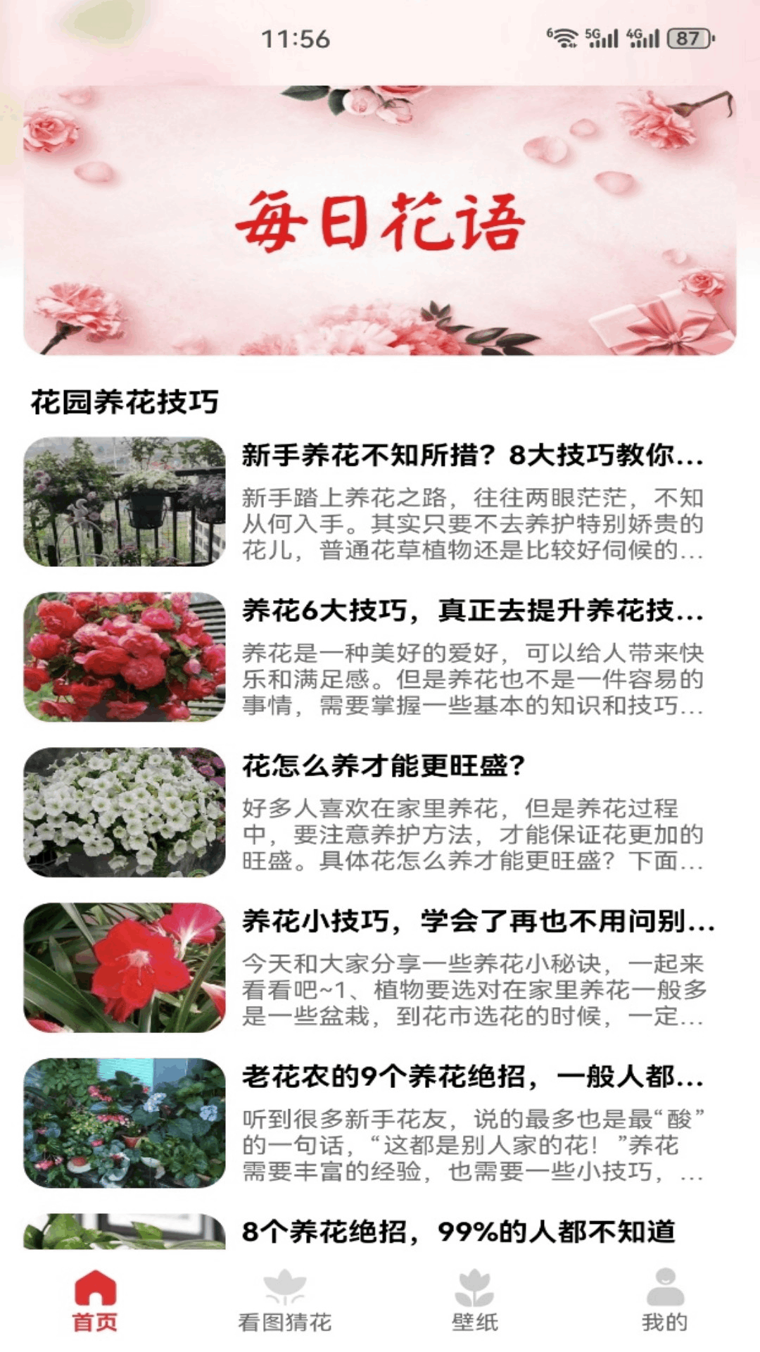 精彩截图-解忧花店2026官方新版