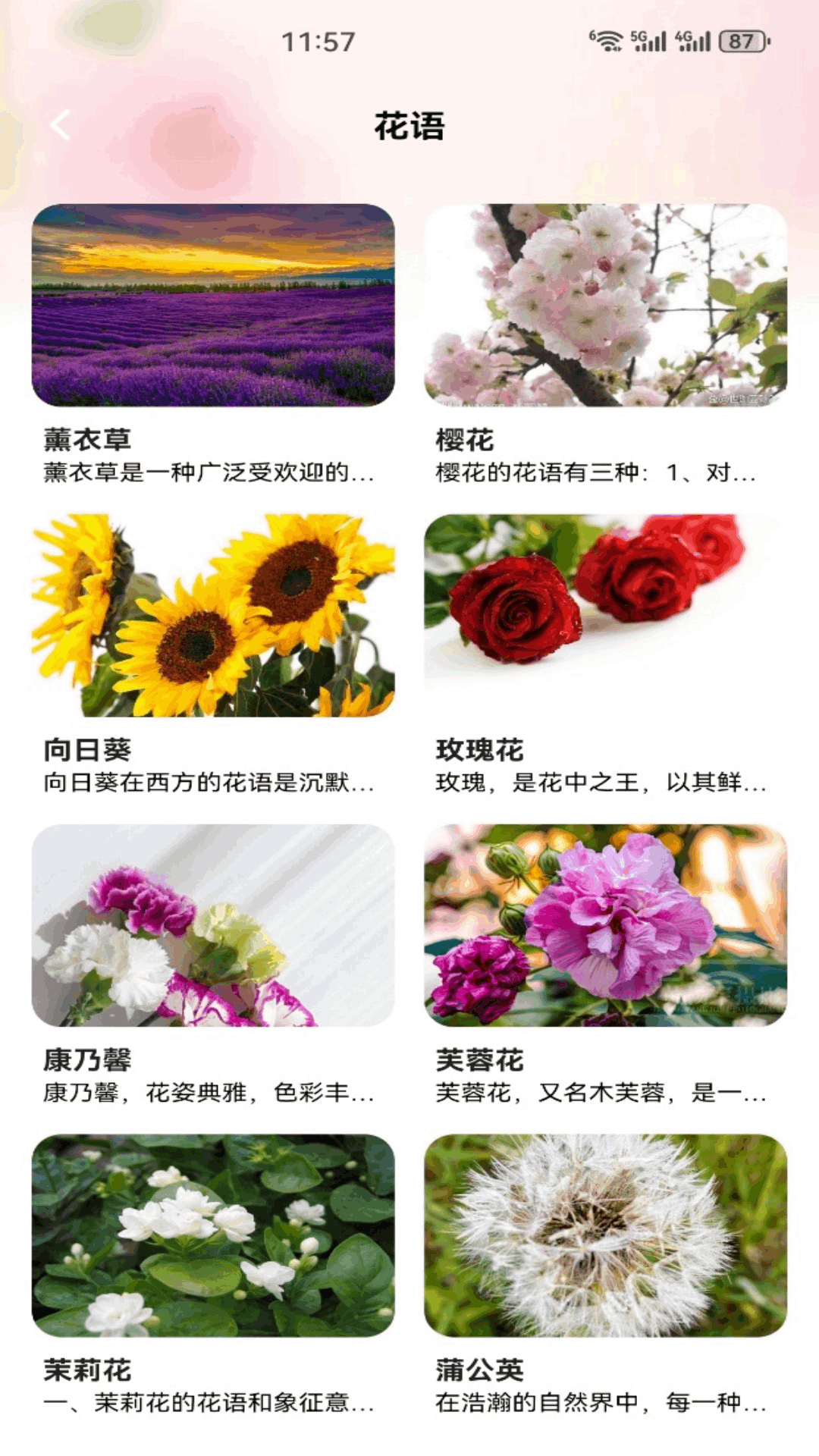精彩截图-解忧花店2026官方新版