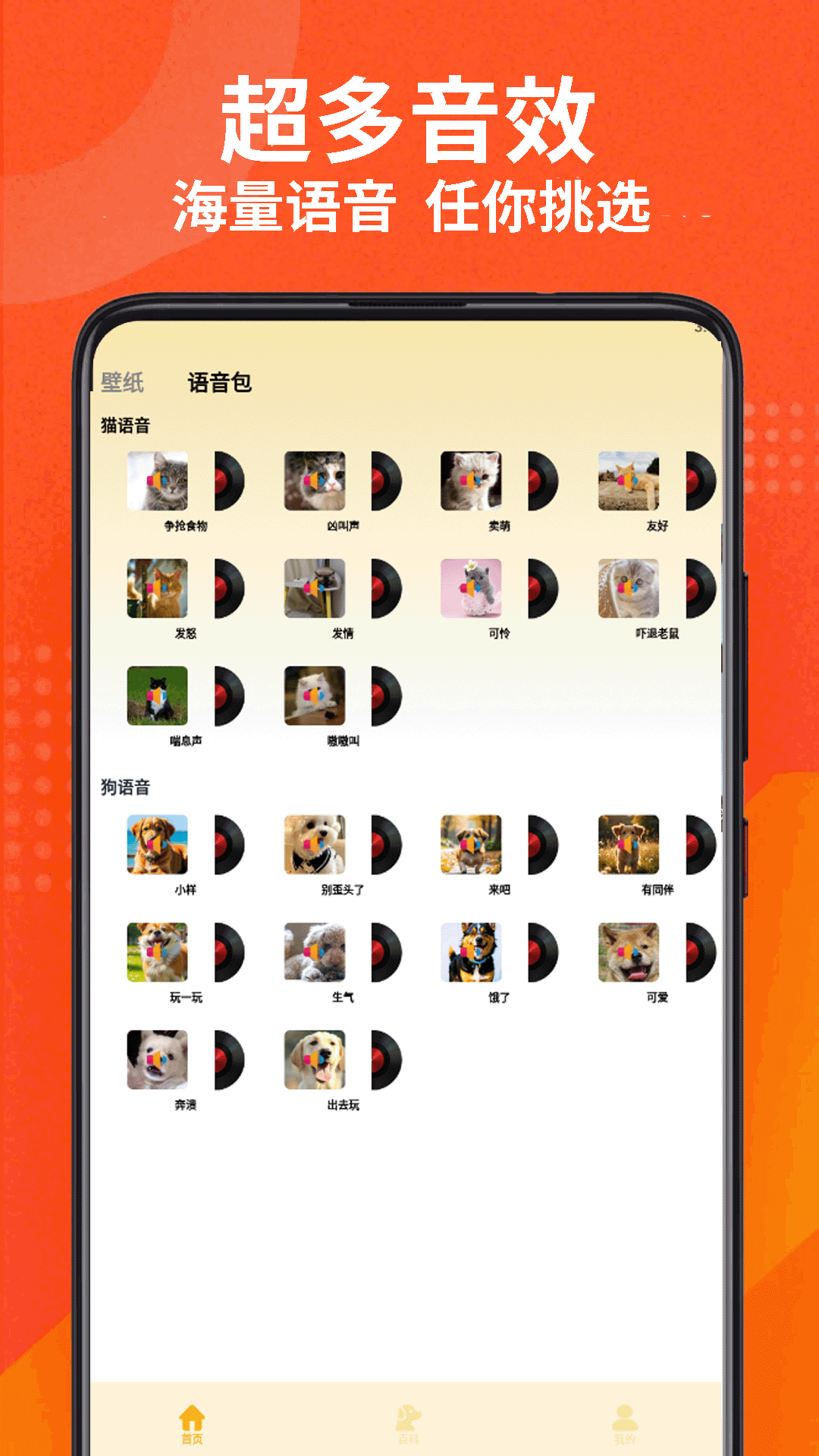精彩截图-小猫的生活2026官方新版