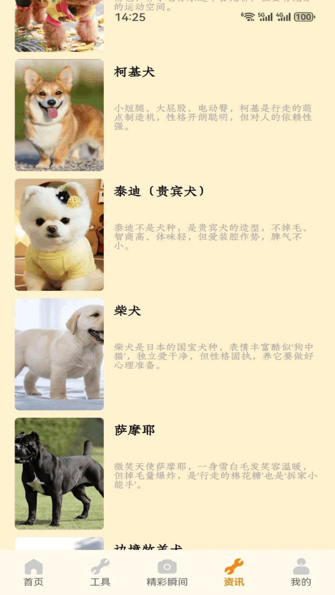 精彩截图-狗狗家园2026官方新版