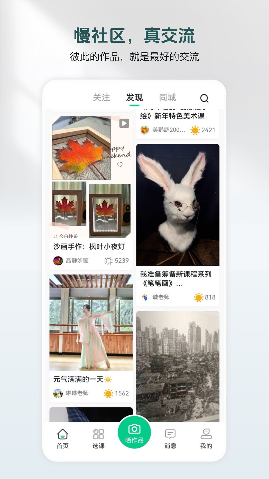 美鹦鹉 截图 1