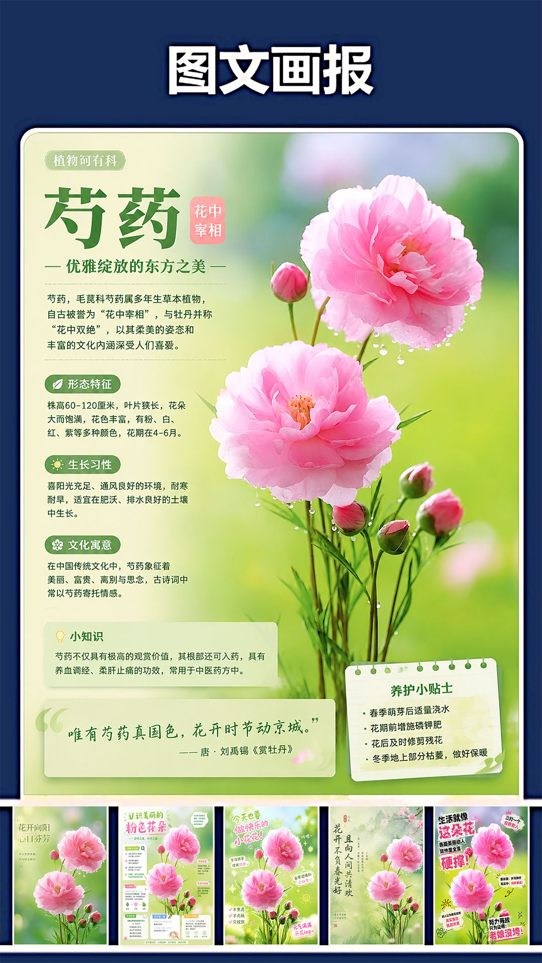 精彩截图-修复P图王2026官方新版