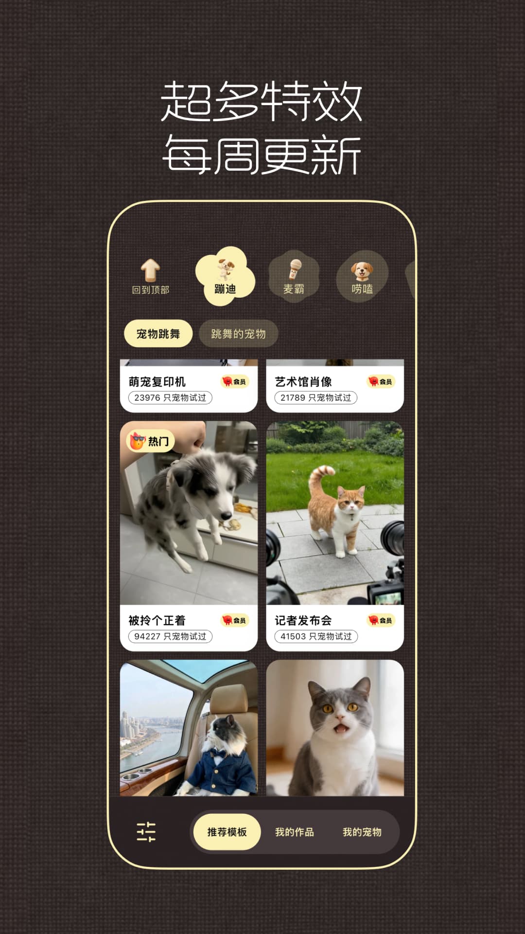 精彩截图-毛孩子语聊2026官方新版