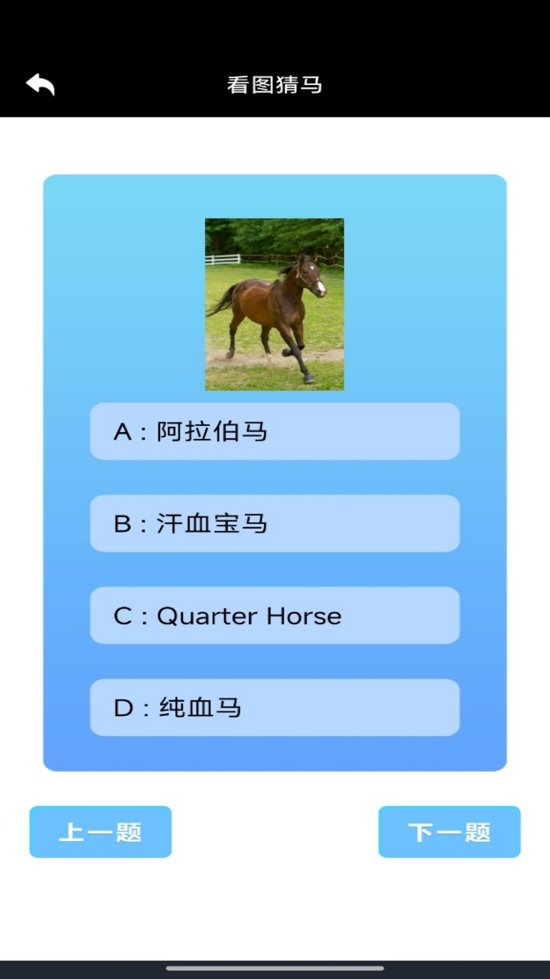 万马奔财 截图 4