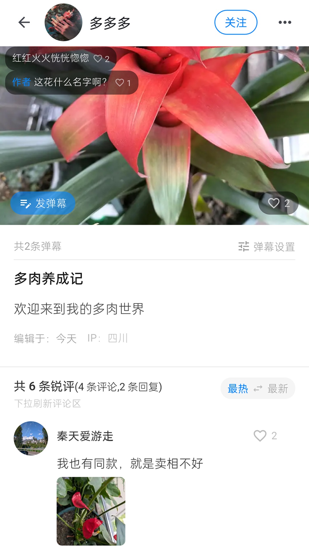 精彩截图-随笔锐评2026官方新版