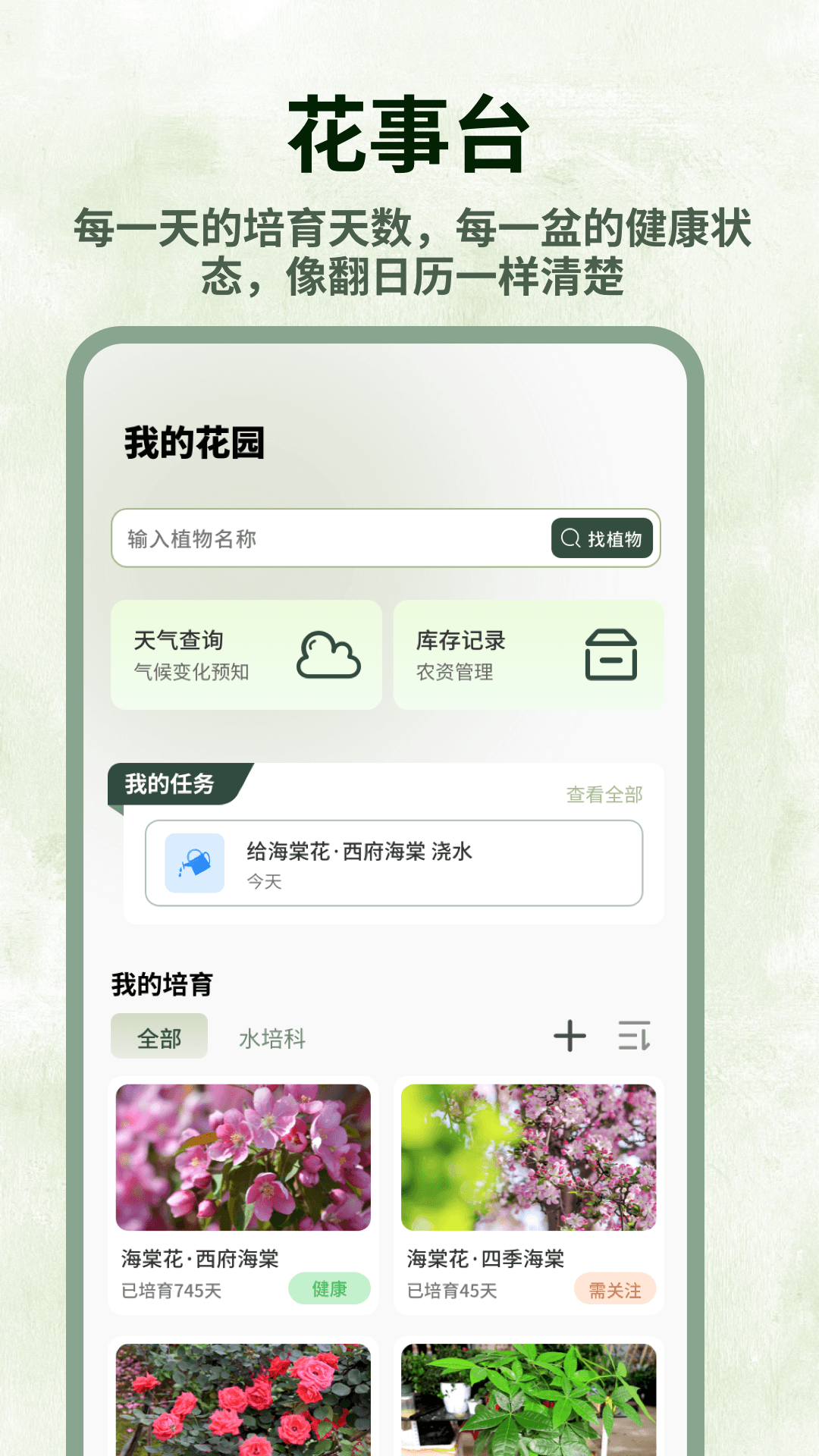 精彩截图-花魁2026官方新版