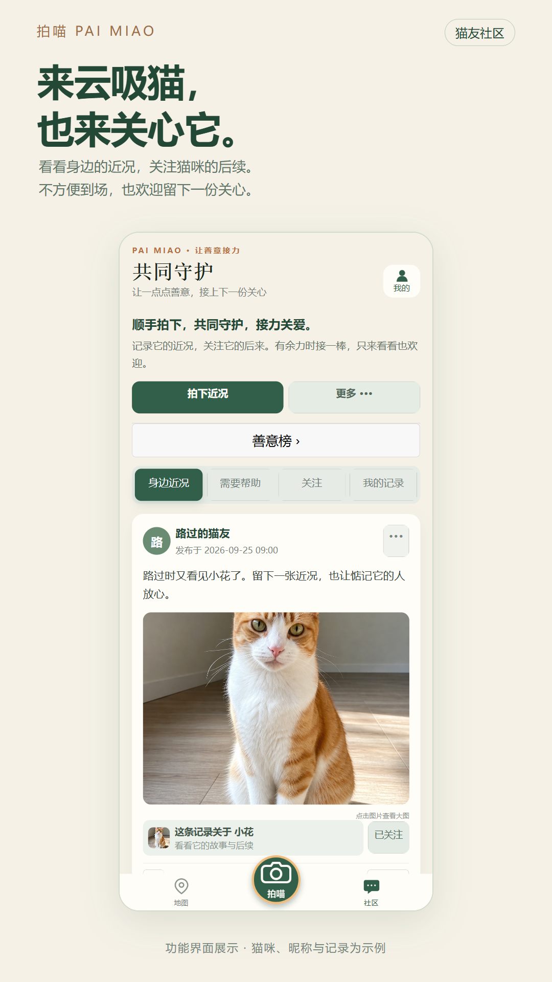 精彩截图-拍喵2026官方新版