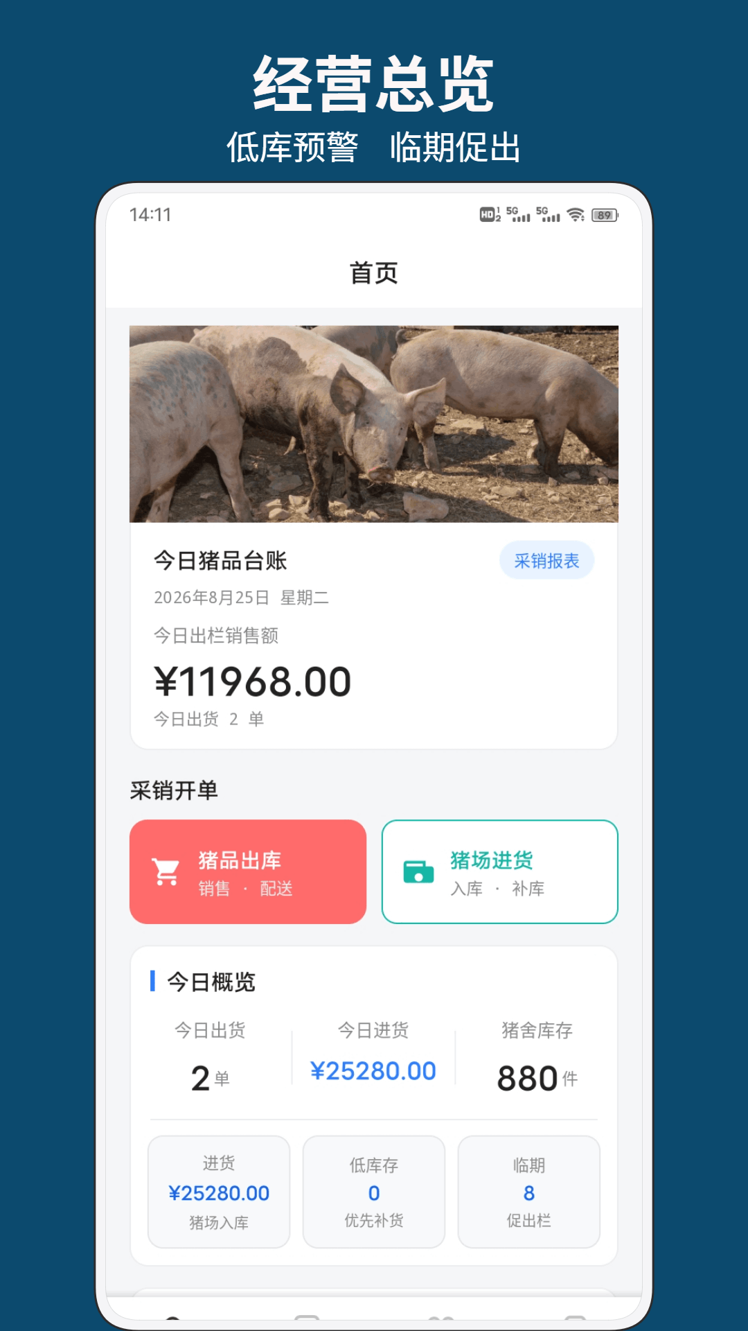 精彩截图-猪了又猪2026官方新版