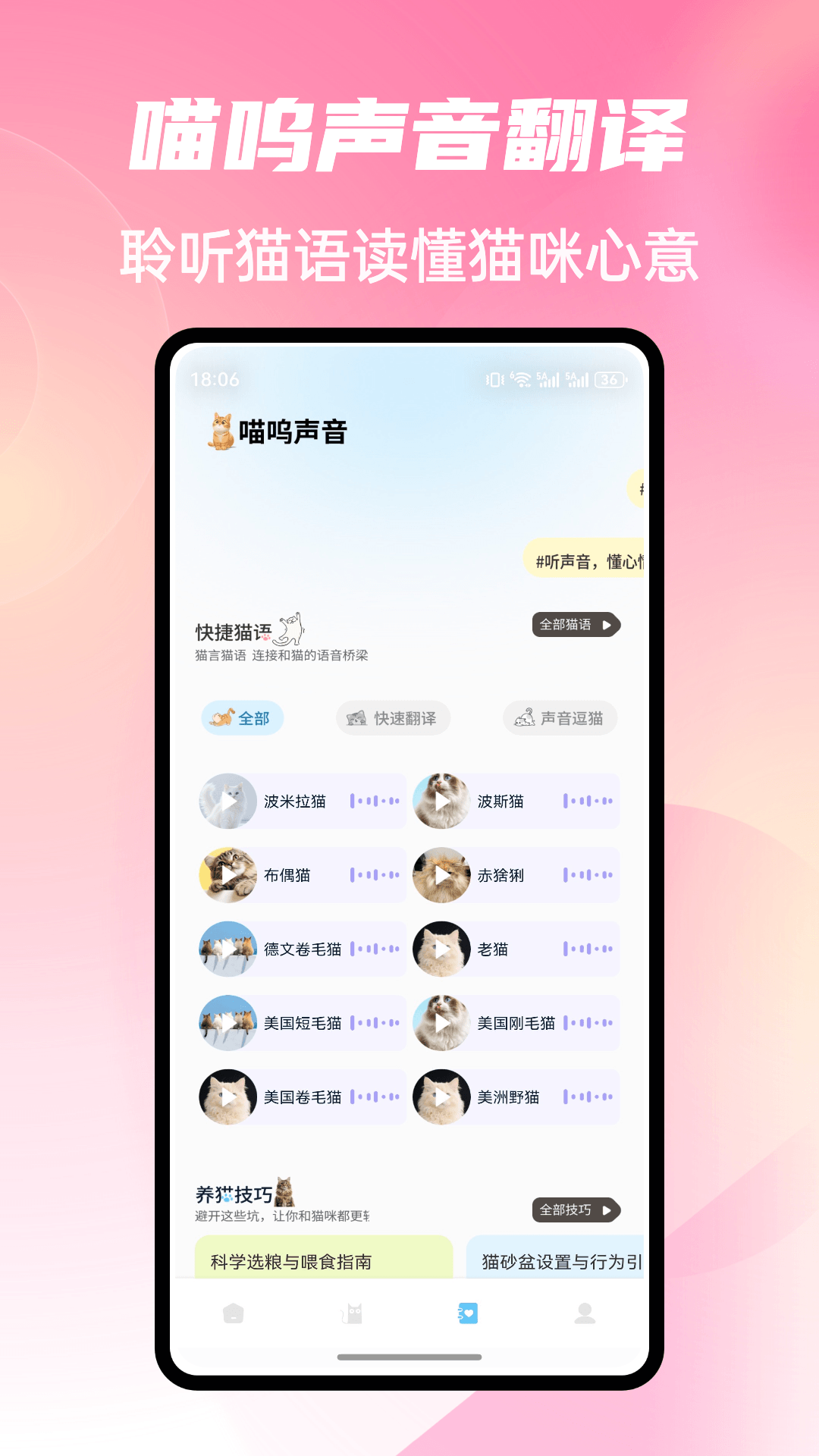 Cat Stylist 截图 3