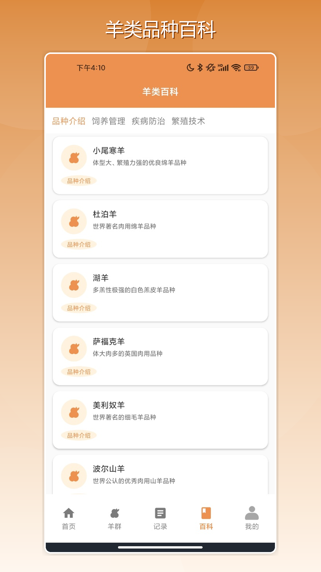 精彩截图-羊羊我最强.2026官方新版